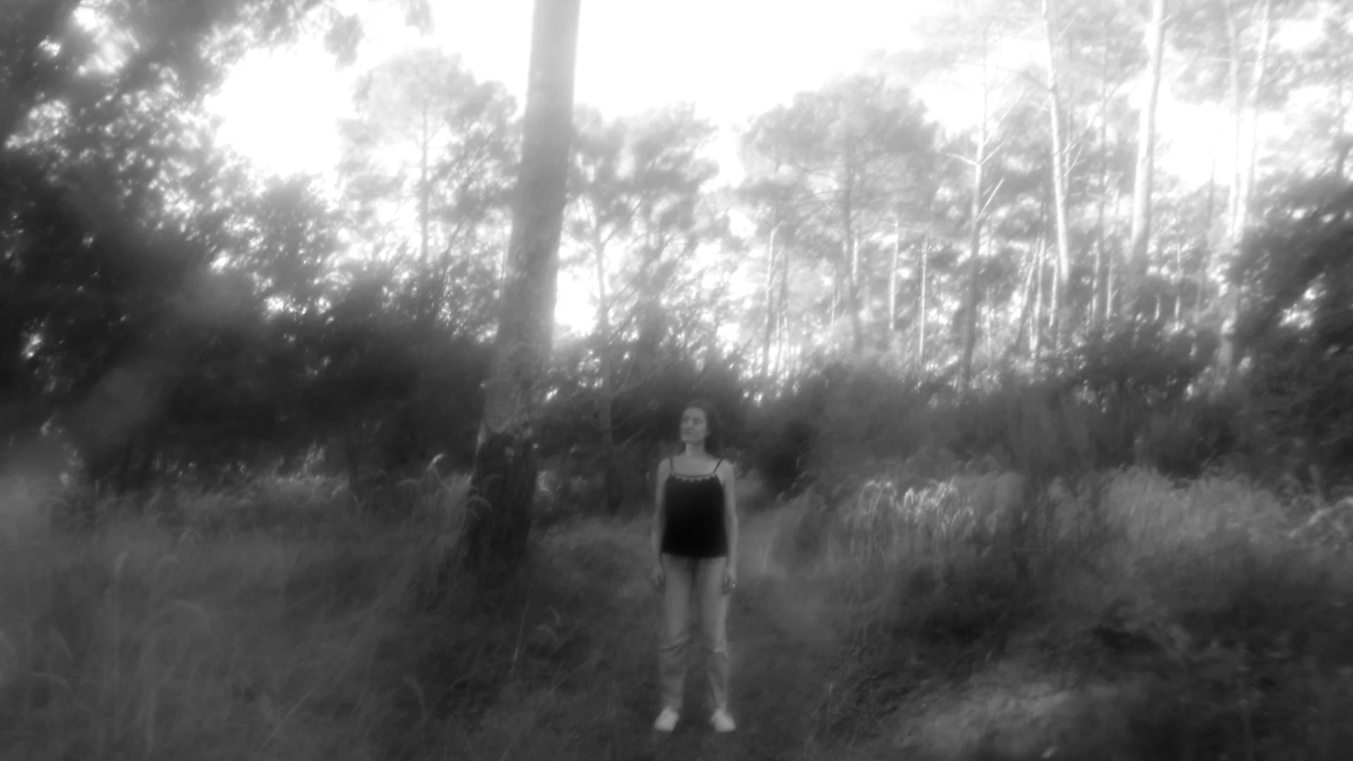 DEF workspace 1 dec.00_11_43_00.Still031.JPG