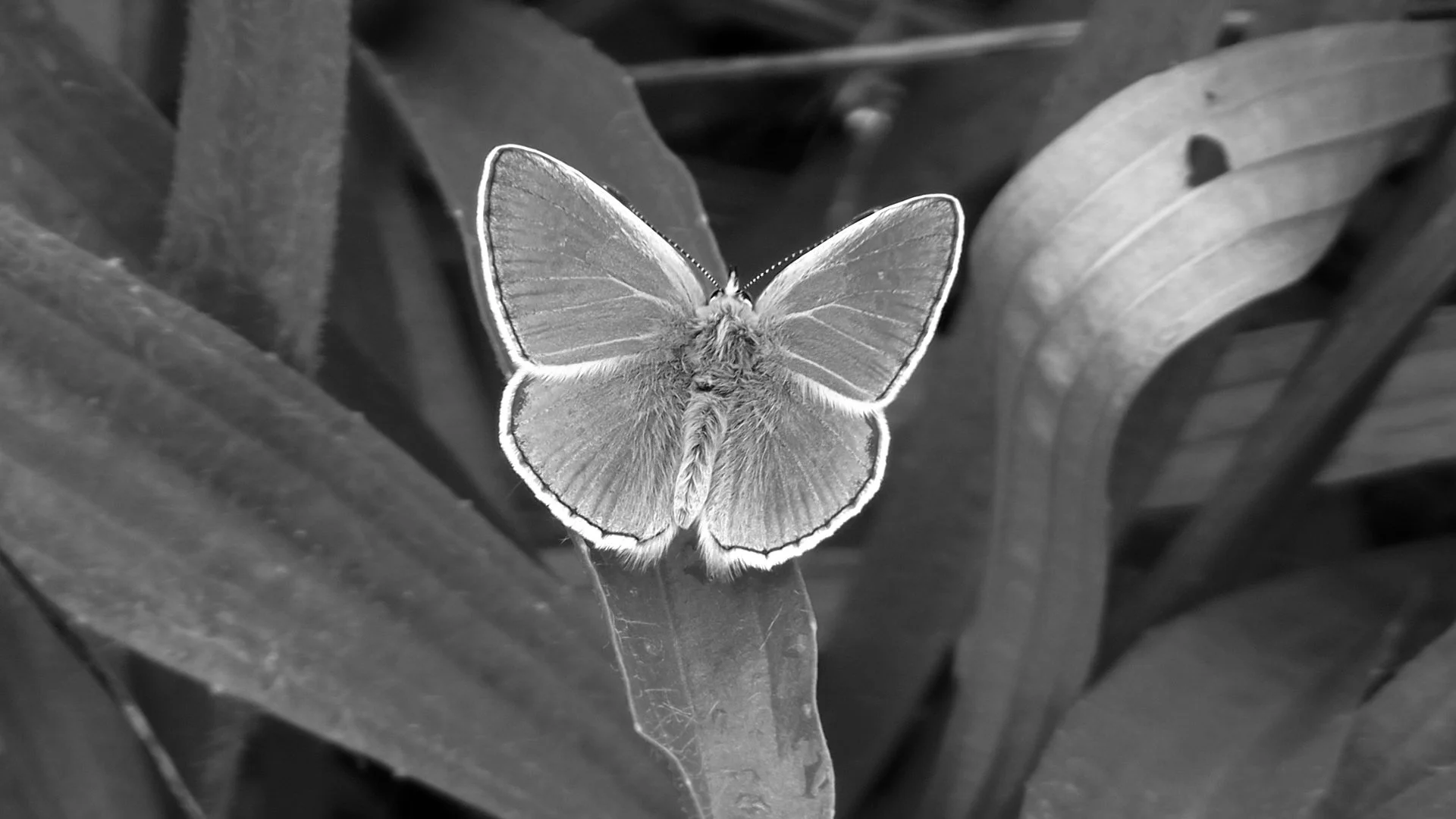 ABSTRACT.05_40_54_15.Still051 kopie.jpg