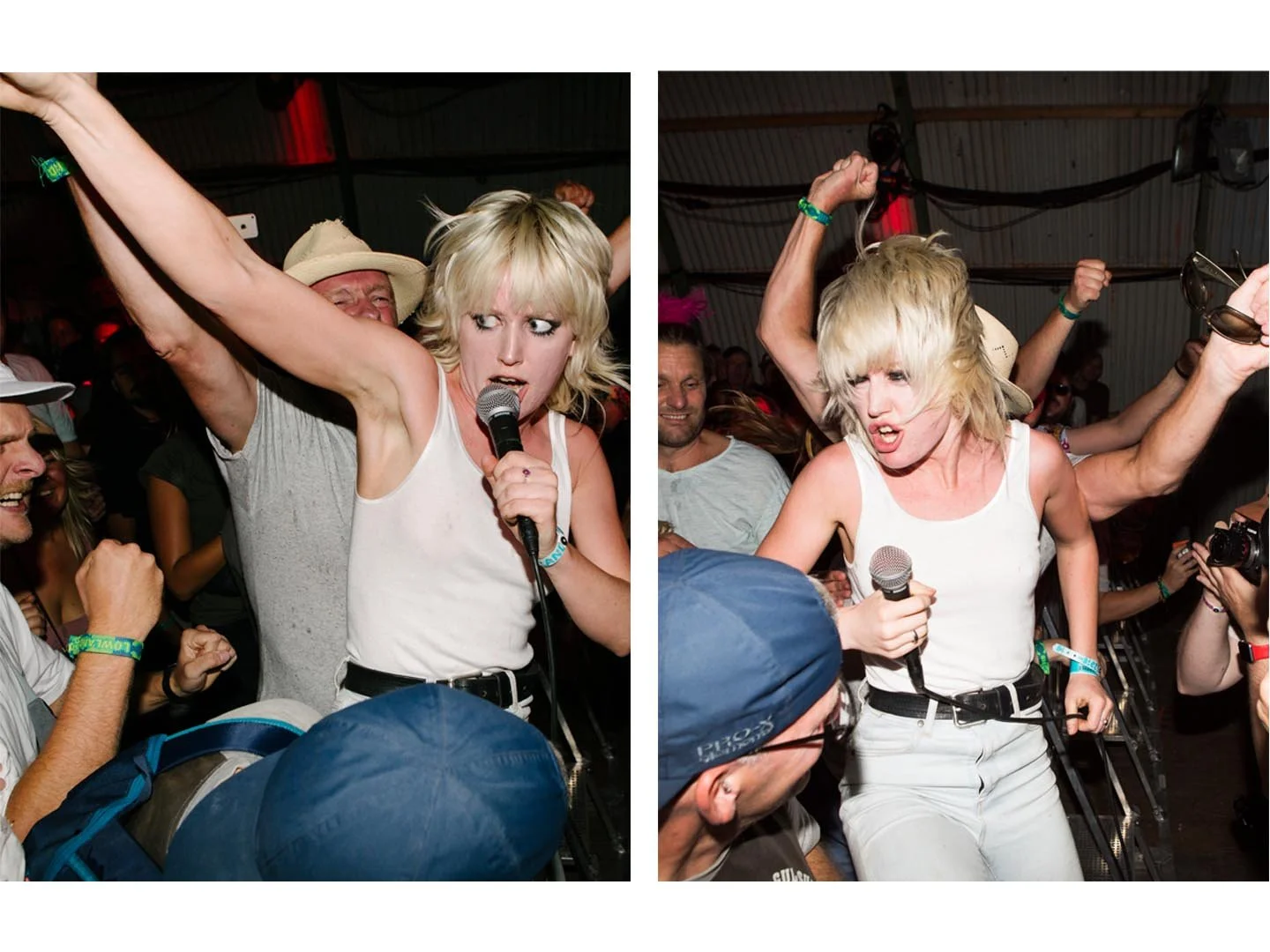 amyl and the sniffers