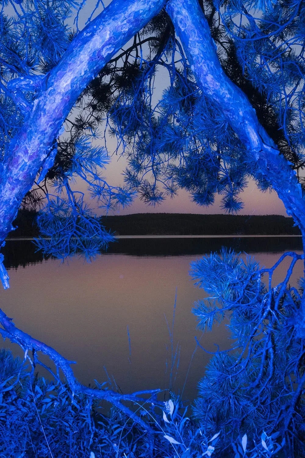 part of the personal series Hypnagogia 