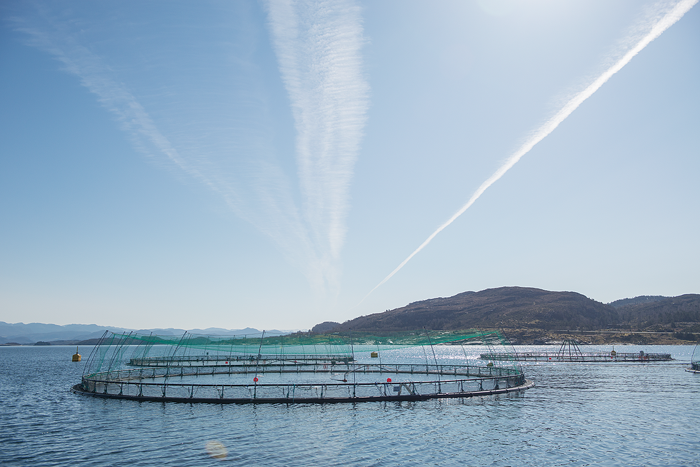 Blue Planet samarbeider med X2 Labs