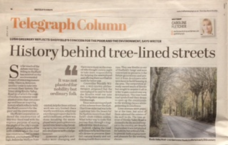 Rivelin article.jpg