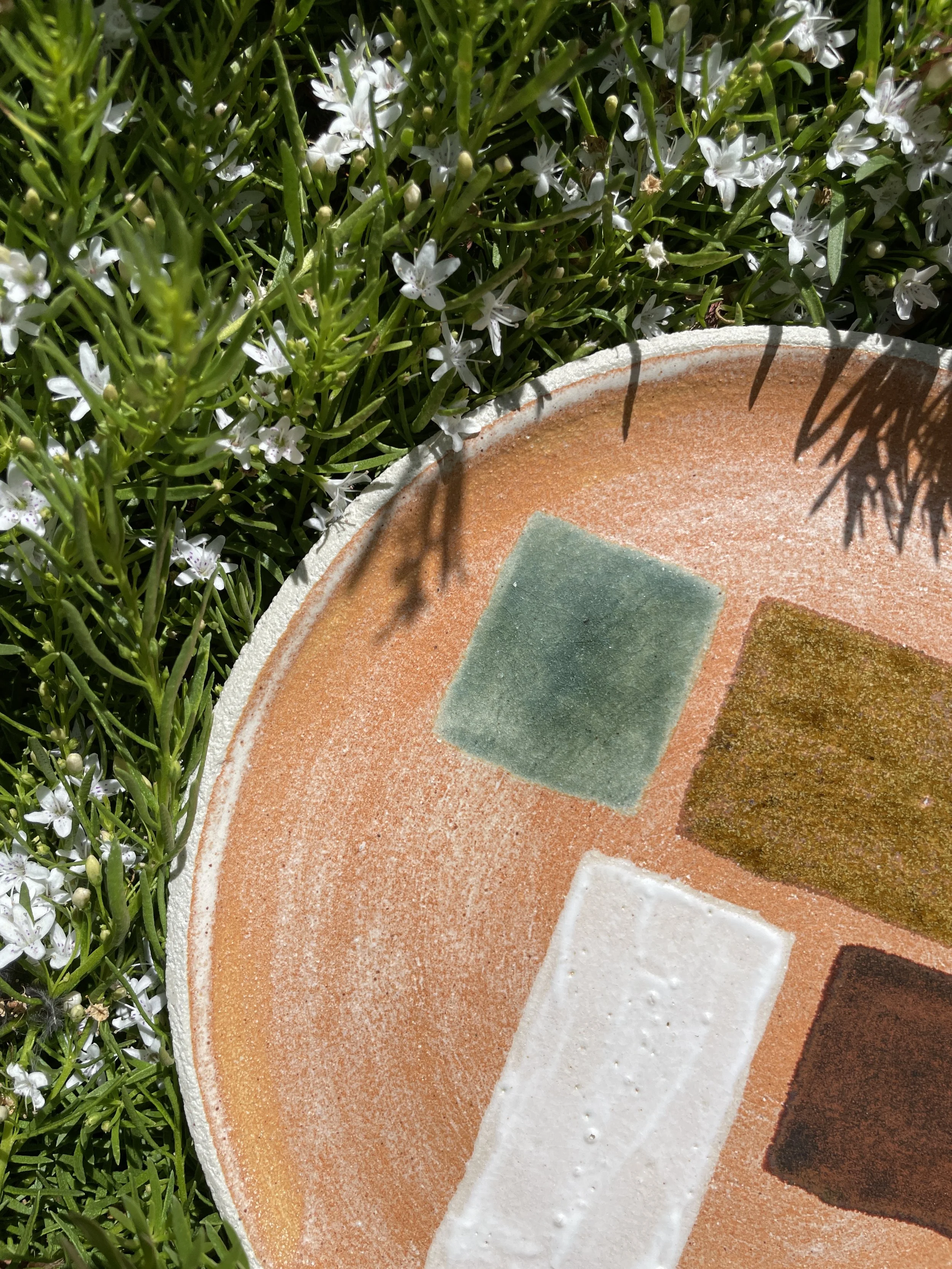 Debbie Pryor plate 9 3.JPG