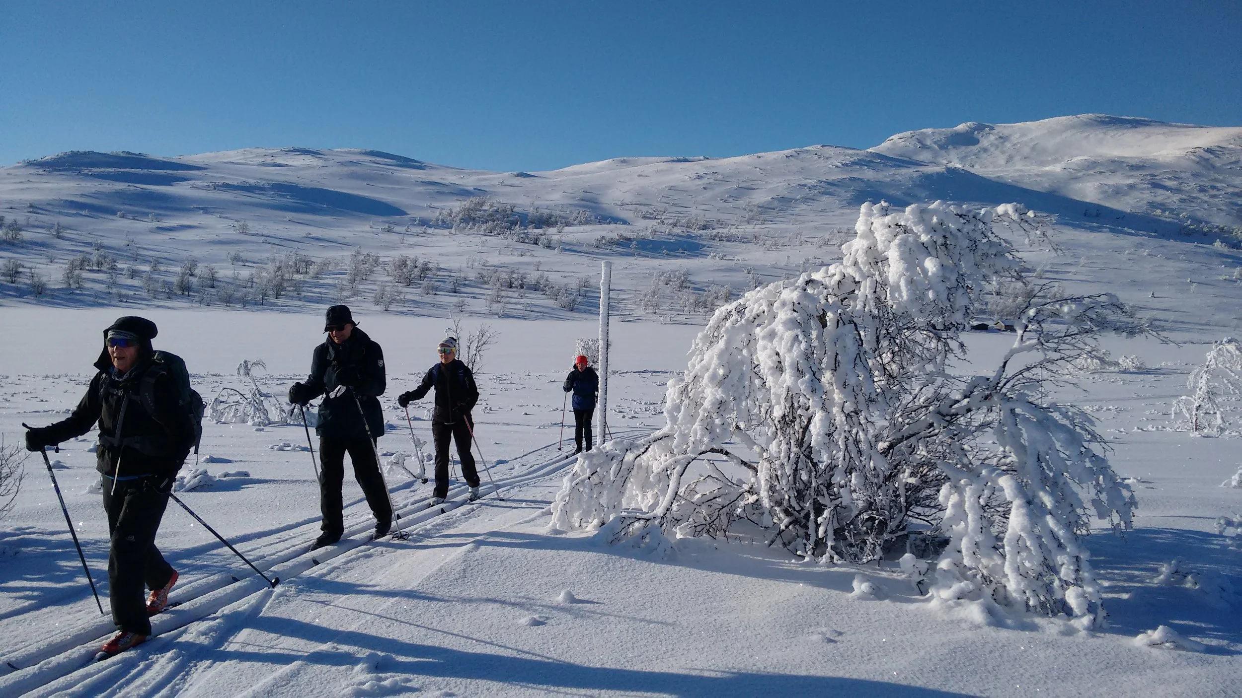 2017-02-11 13.26.51.jpg