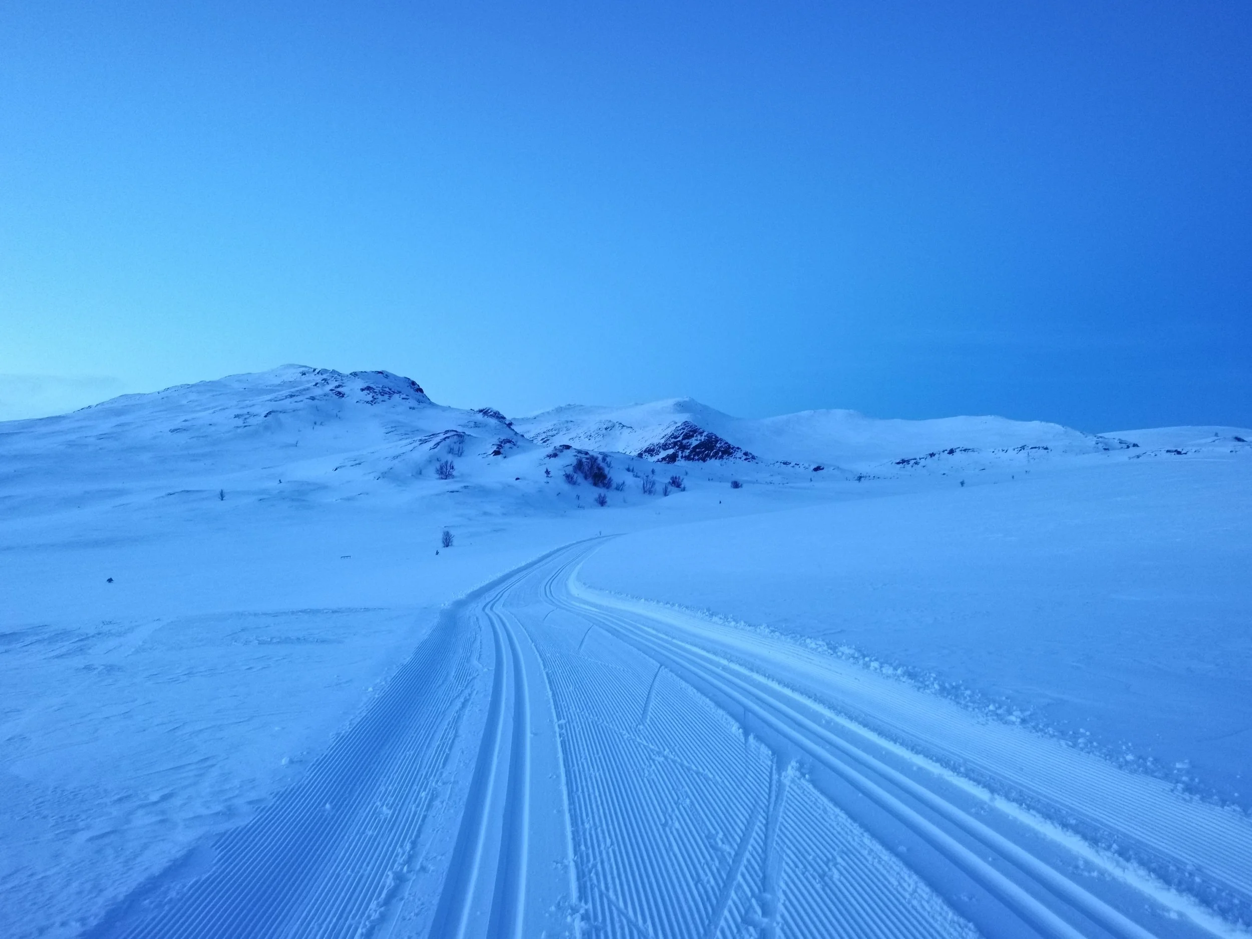 bak Sprenpiggen mars 2021.jpg