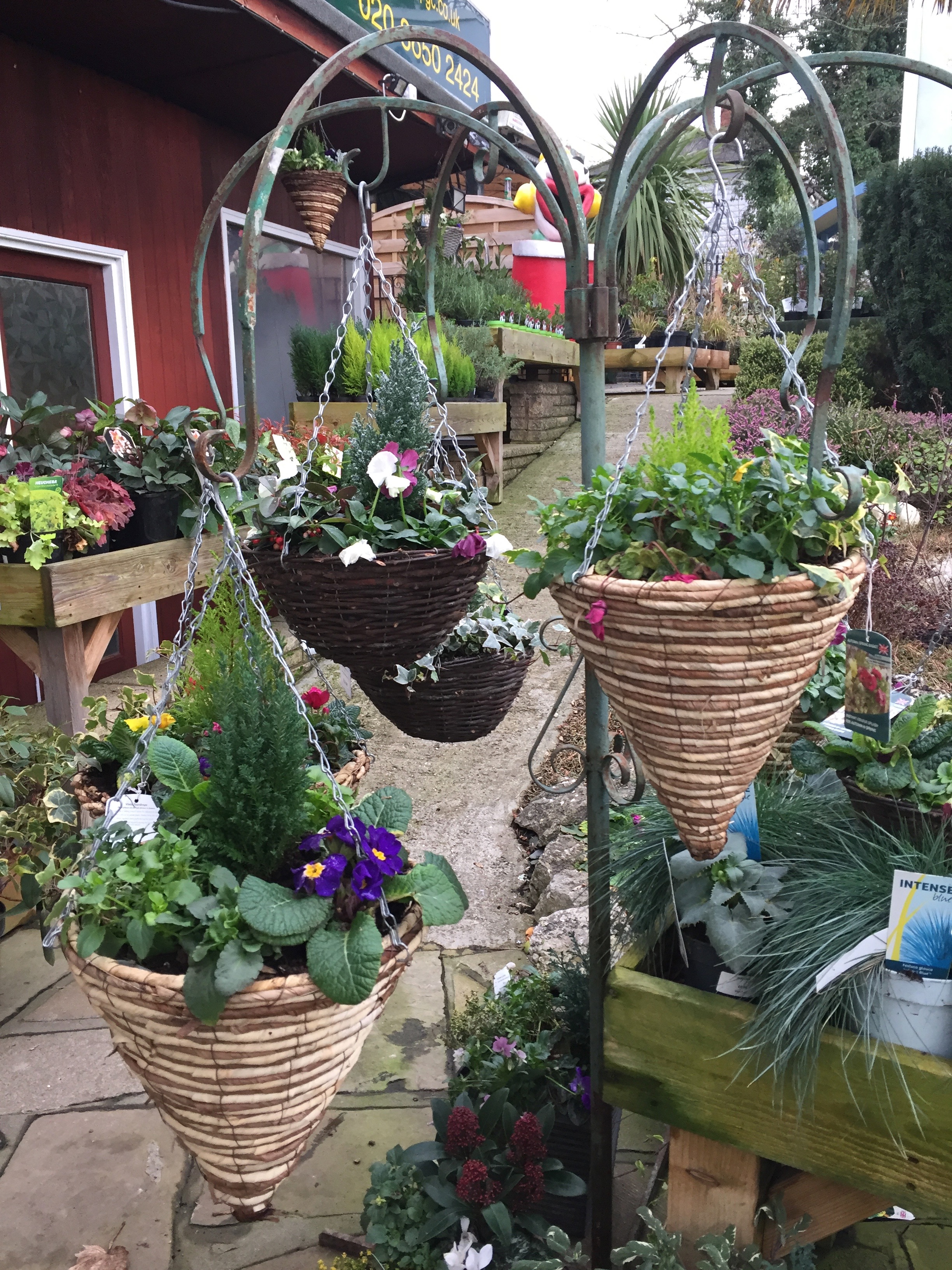 Hanging Baskets