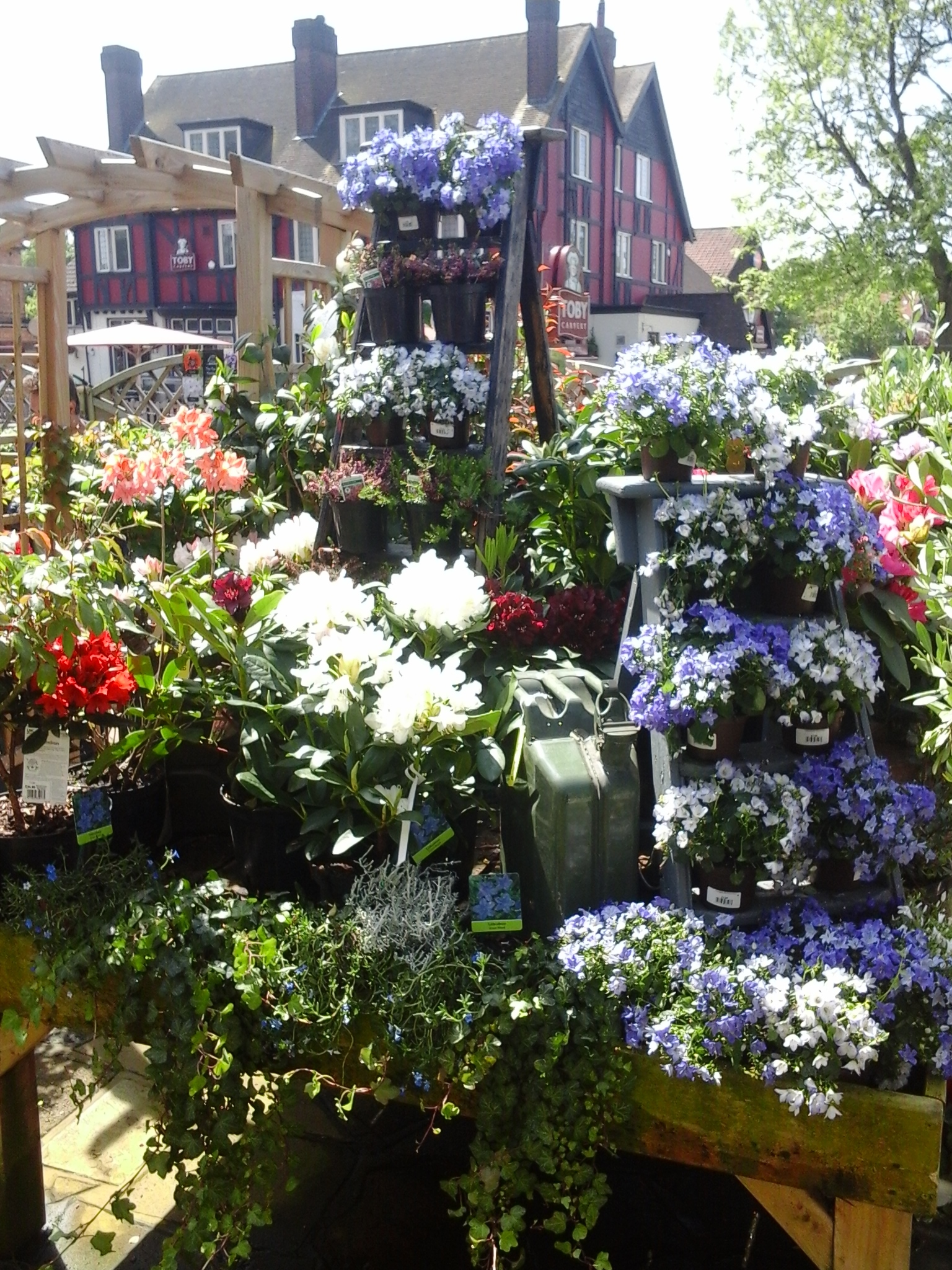 Summer Ideas