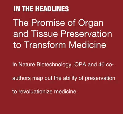 No Image Article.jpg