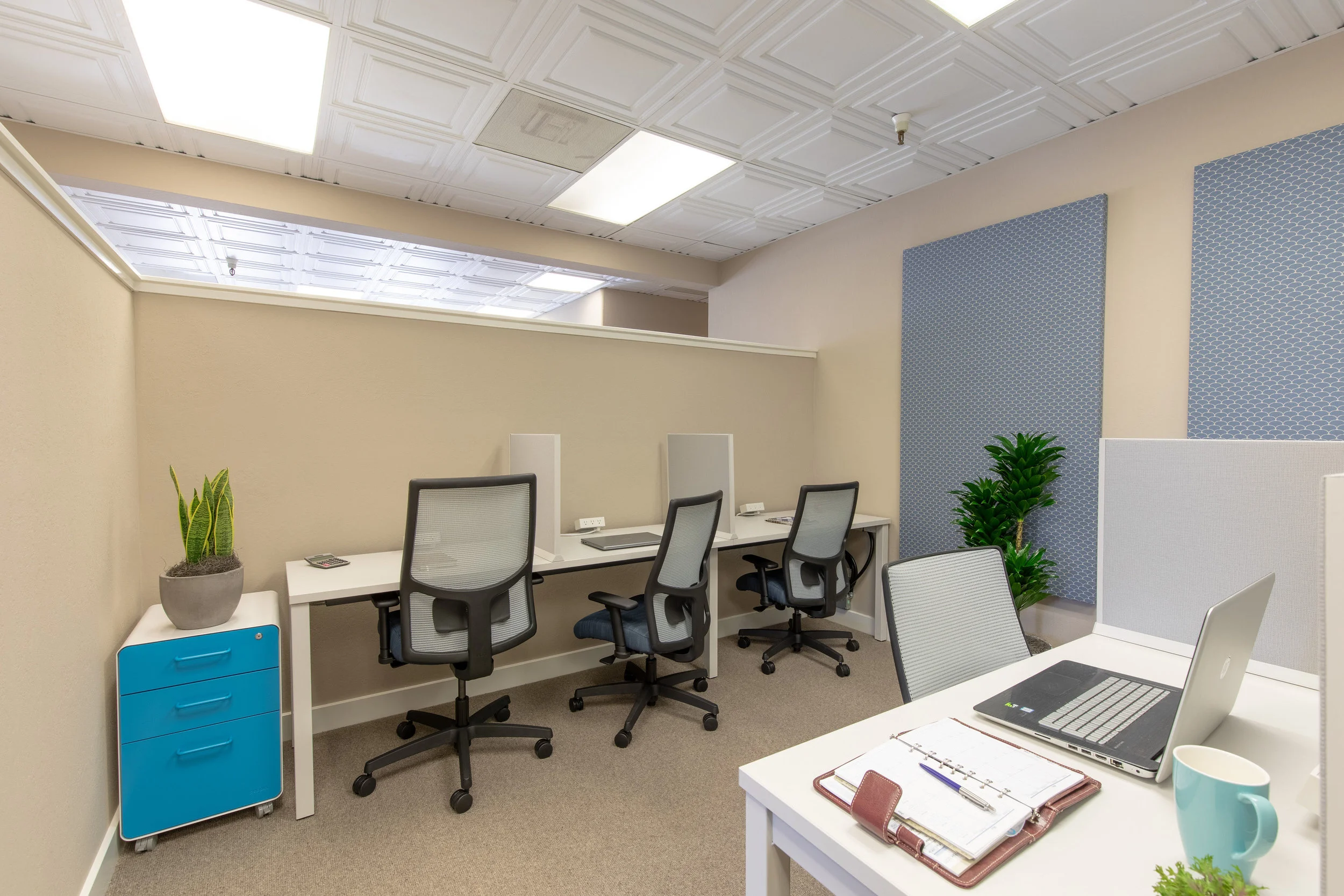 CF4A4867-HDR.jpg