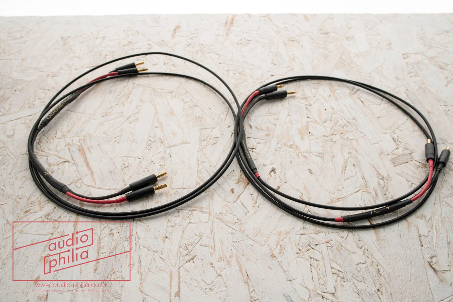 audience-speaker-cable-51.jpg