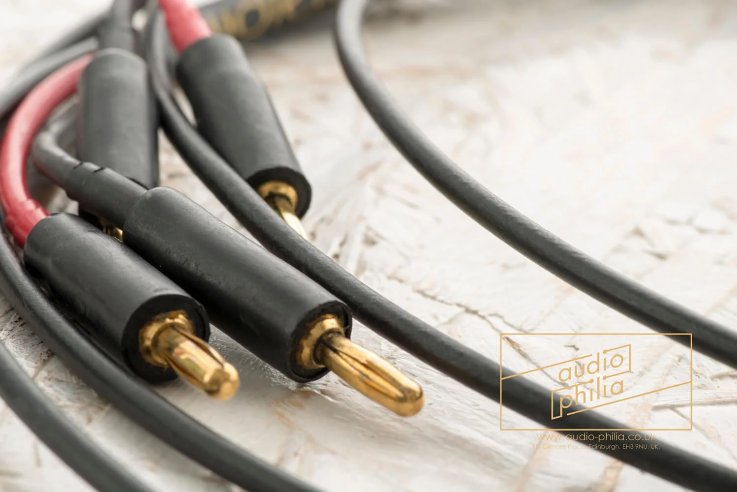 audience-speaker-cable-55.jpg