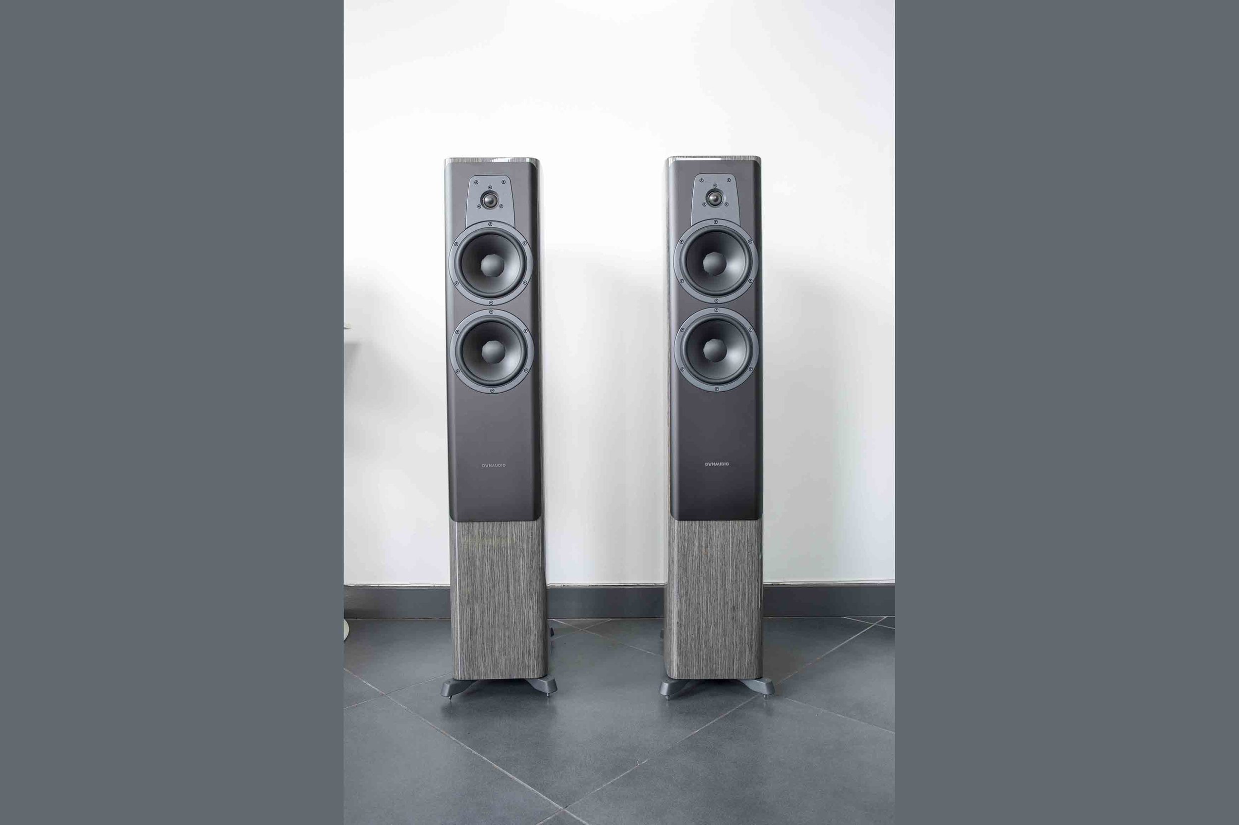dynaudio-contour-30-loudspeakers-grey-oak-6.jpg