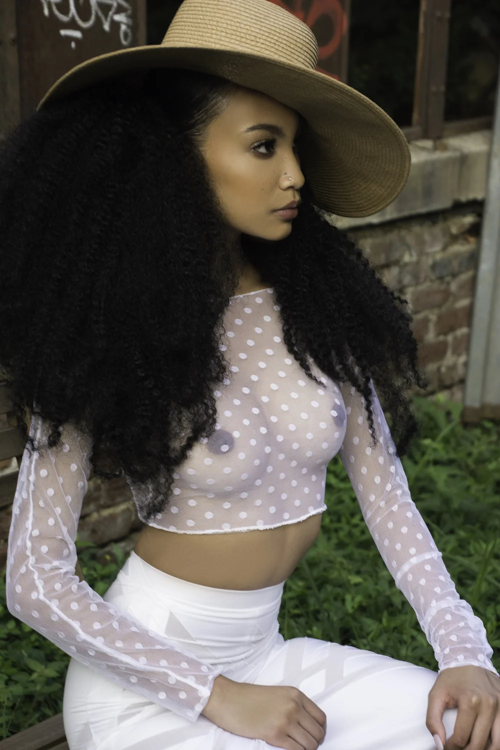 small Andrena-3421.jpeg