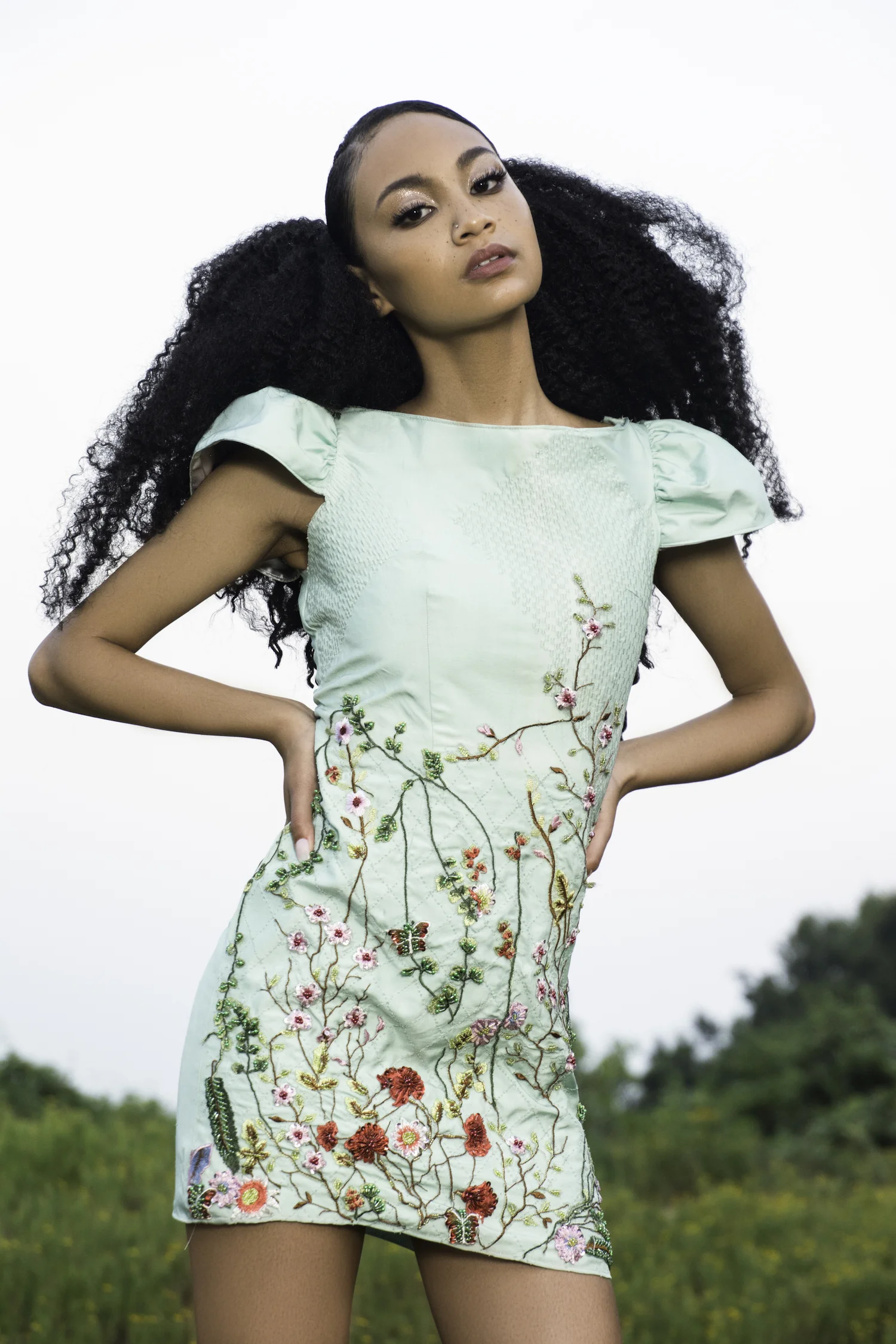 small Andrena-3326.jpeg