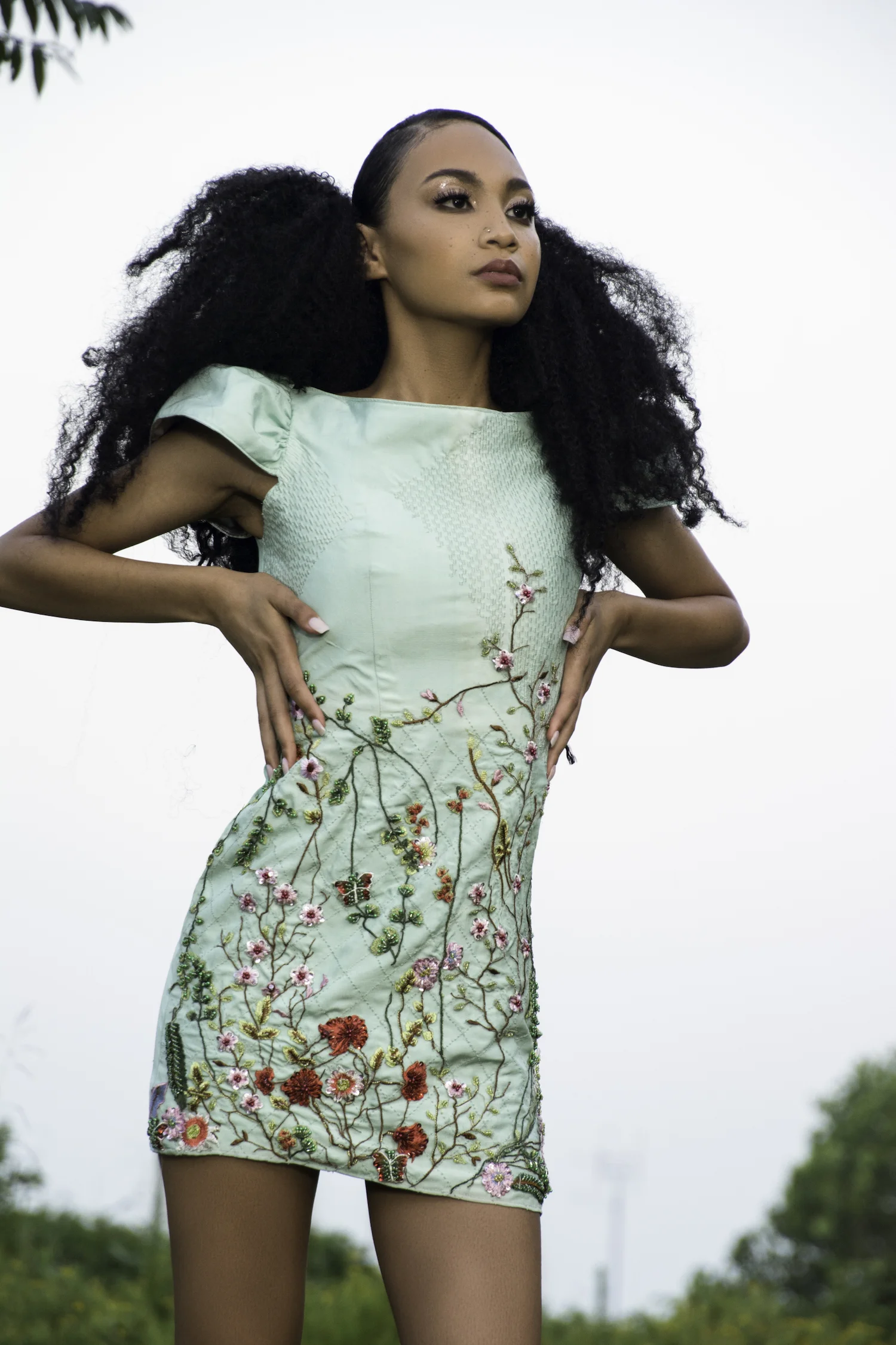 small Andrena-3324  1500.jpeg