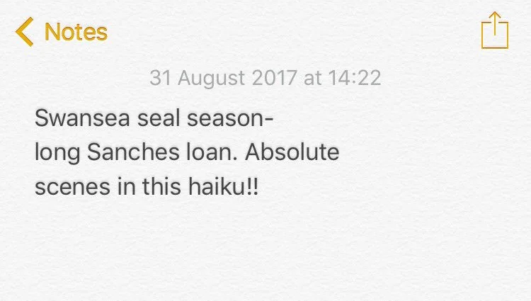 haikuscenes.jpg