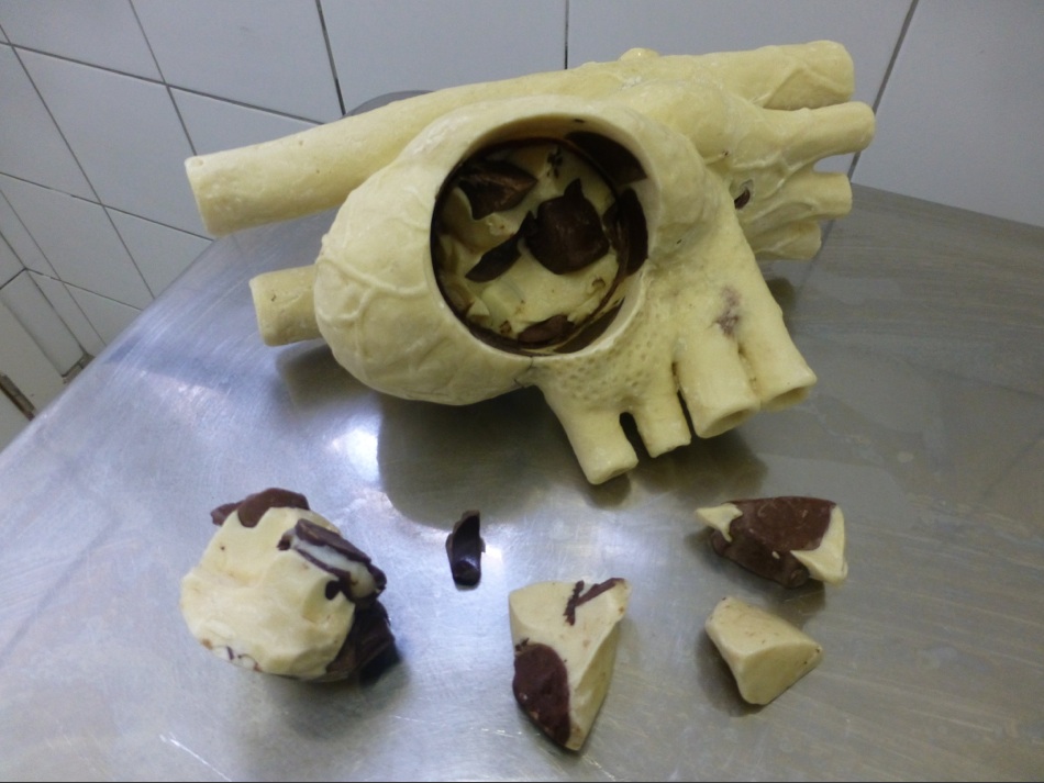 The Last Gift Belgian. Chocolate 2015 Image Courtesy Andrew Carnie and GV Art