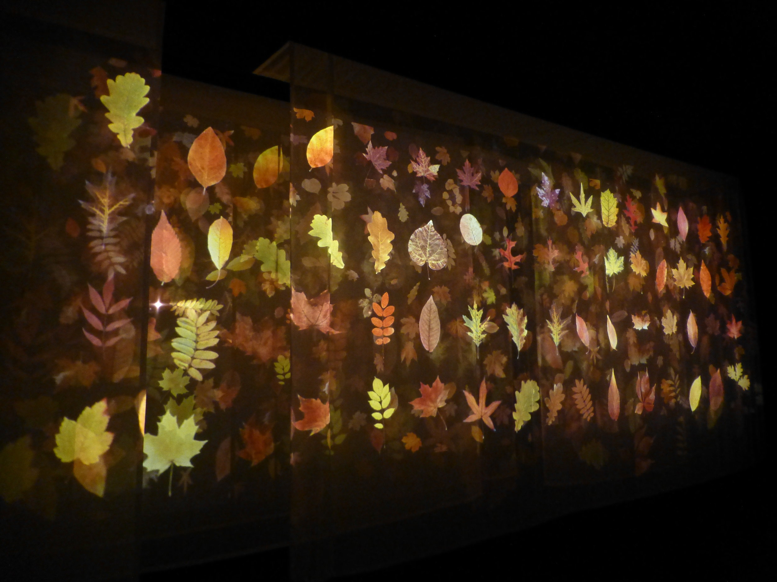 Dark Garden Tne Based Work 2012 Image courtesey of Andrew Carnie and GV Art