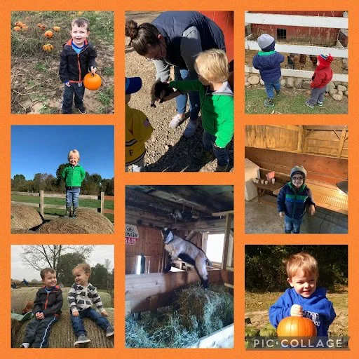 Fall at the Coop — Dexter Cooperative Nursery School