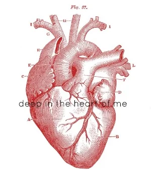 deepintheheartofme.jpeg