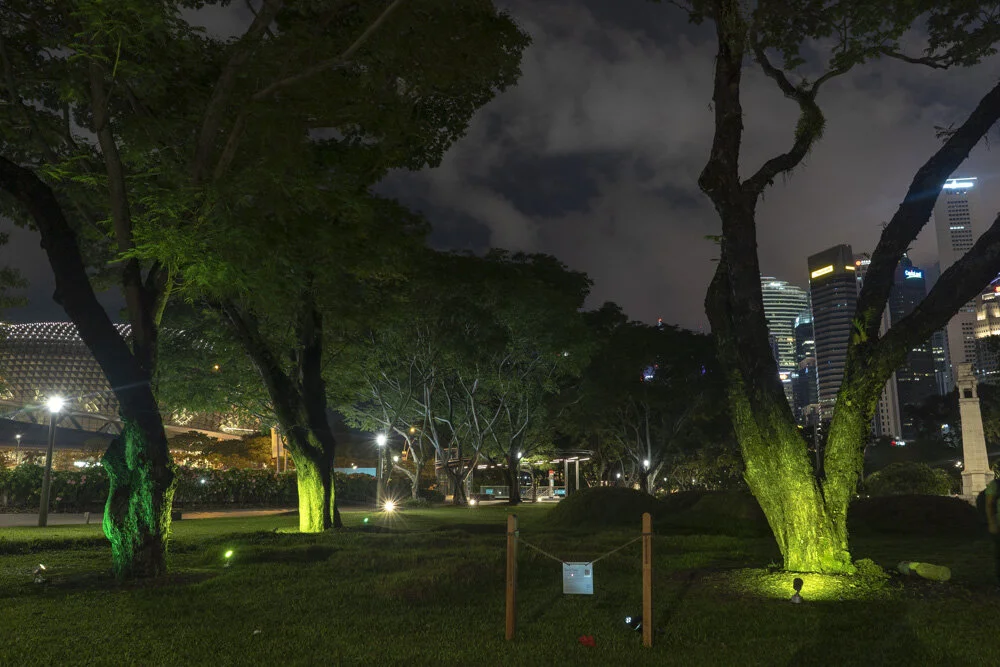 RoughSelection_UnderTheFiveTree_65.jpg