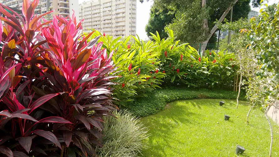 Restaurante Café verde