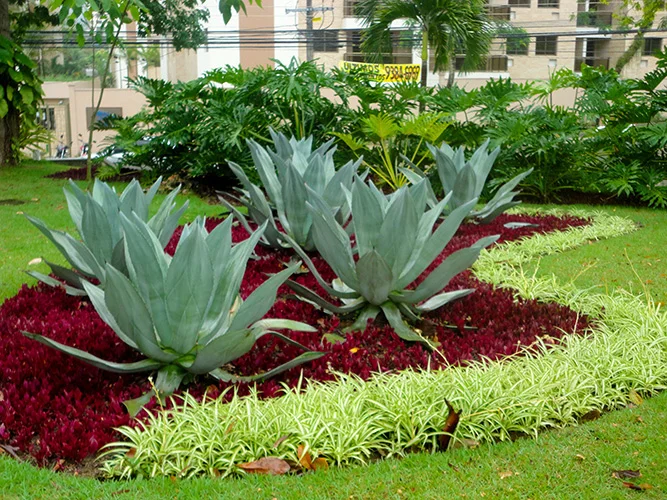 Hospital da Freguesia