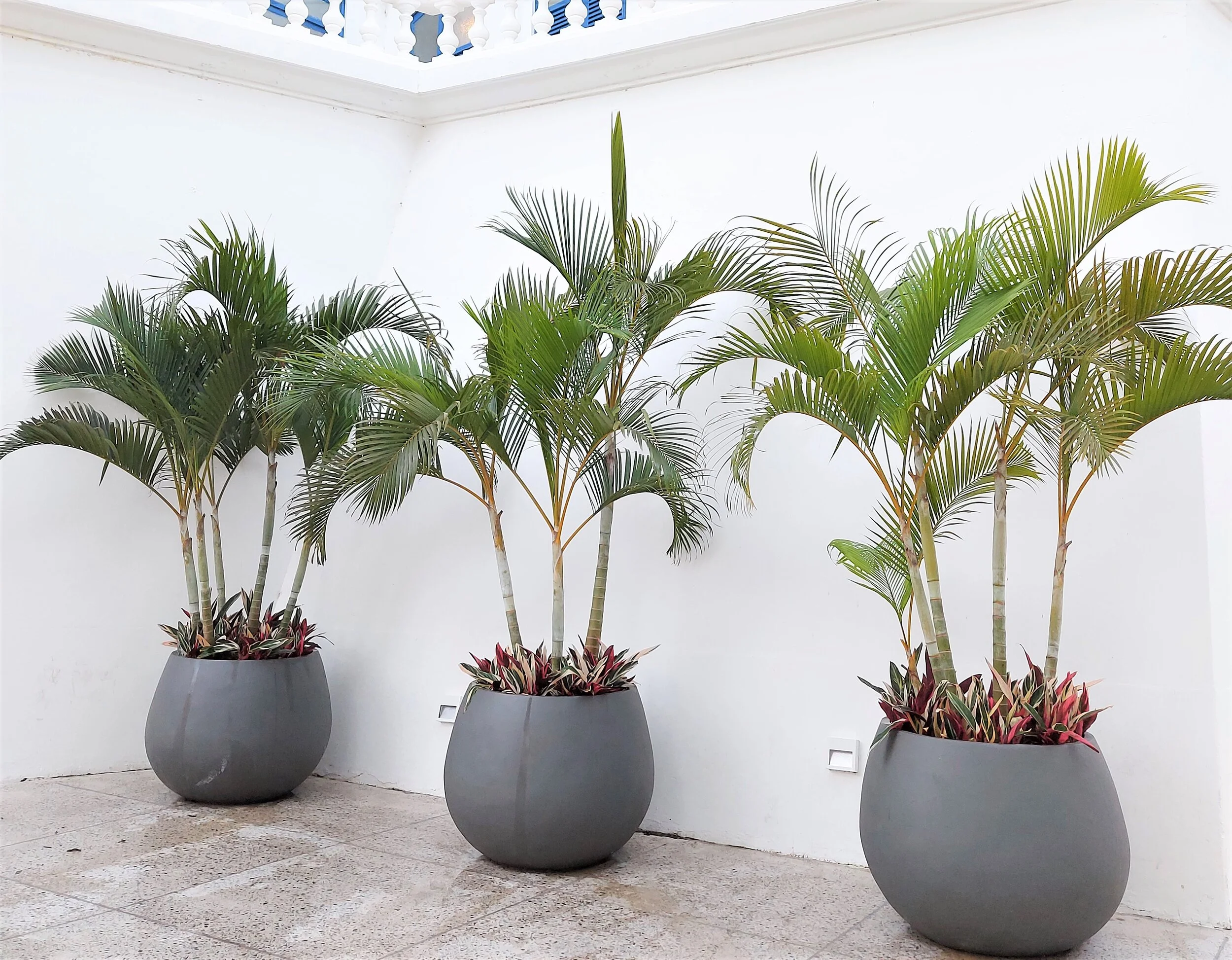 20200725_170952 (3).jpg