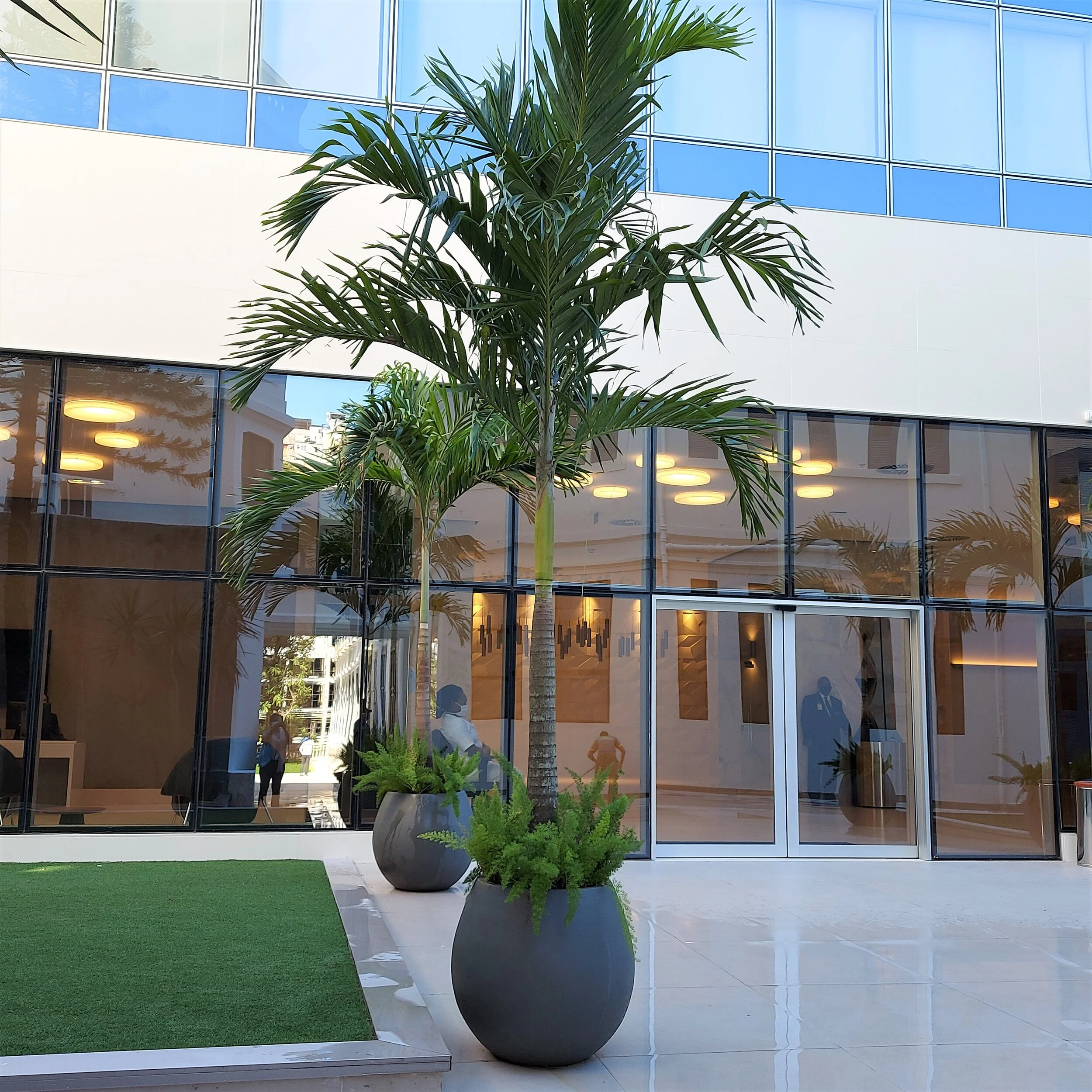 20200530_125139 (2).jpg