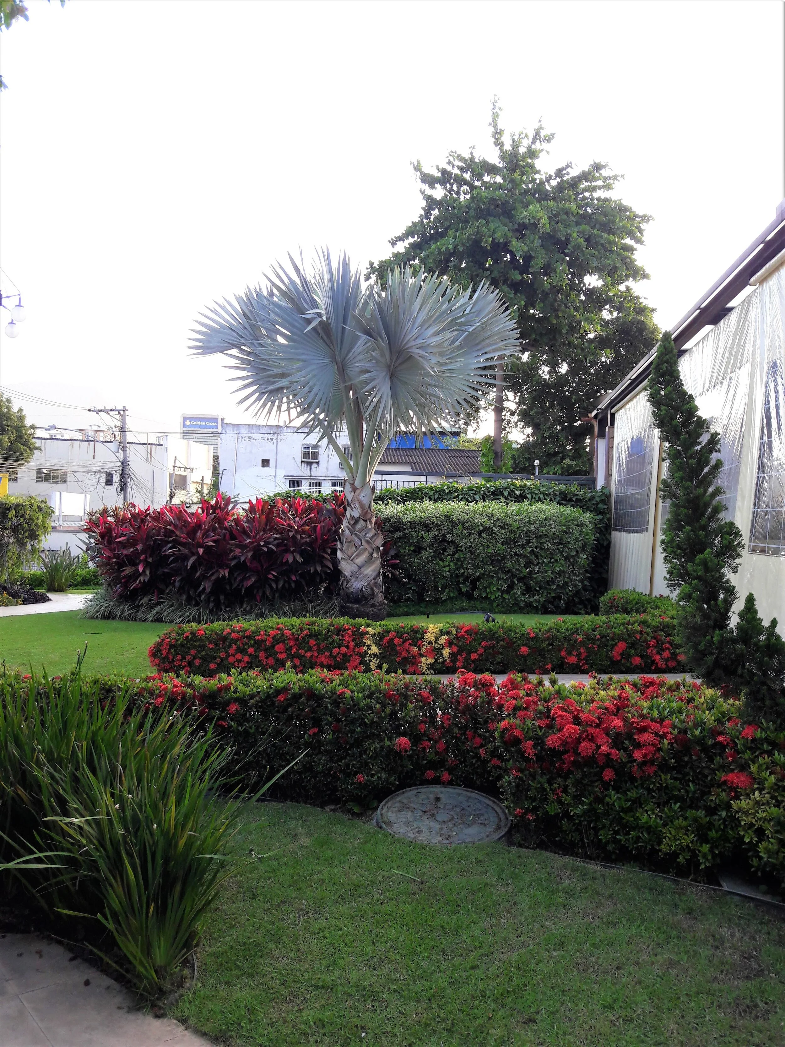 20171108_180626 (2).jpg