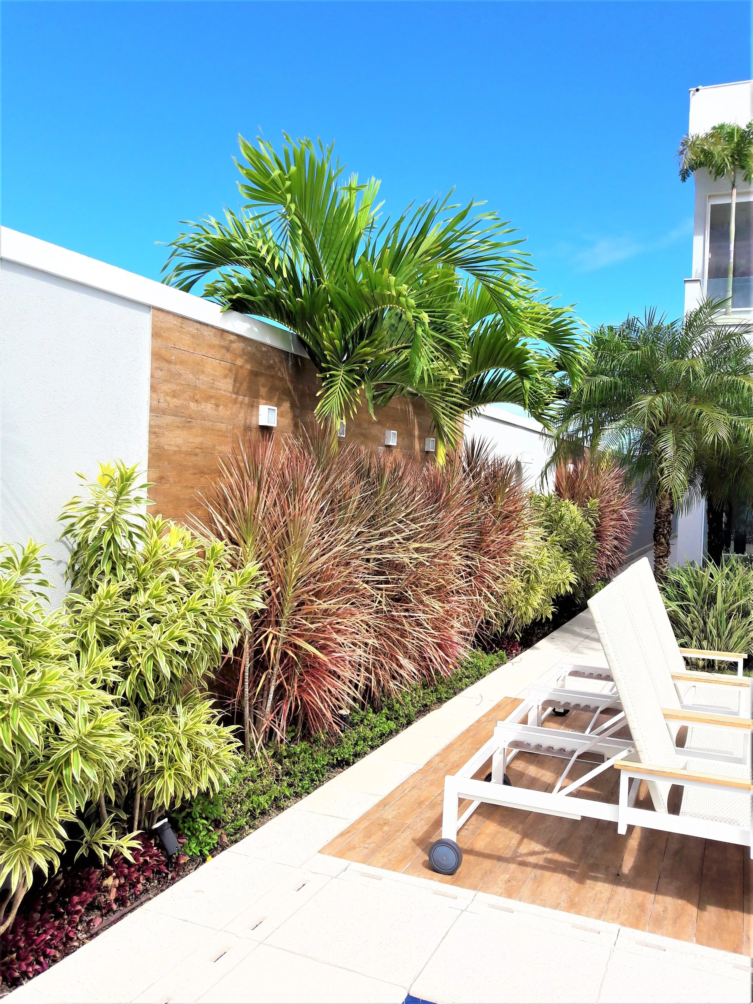 20170331_134353 (2).jpg