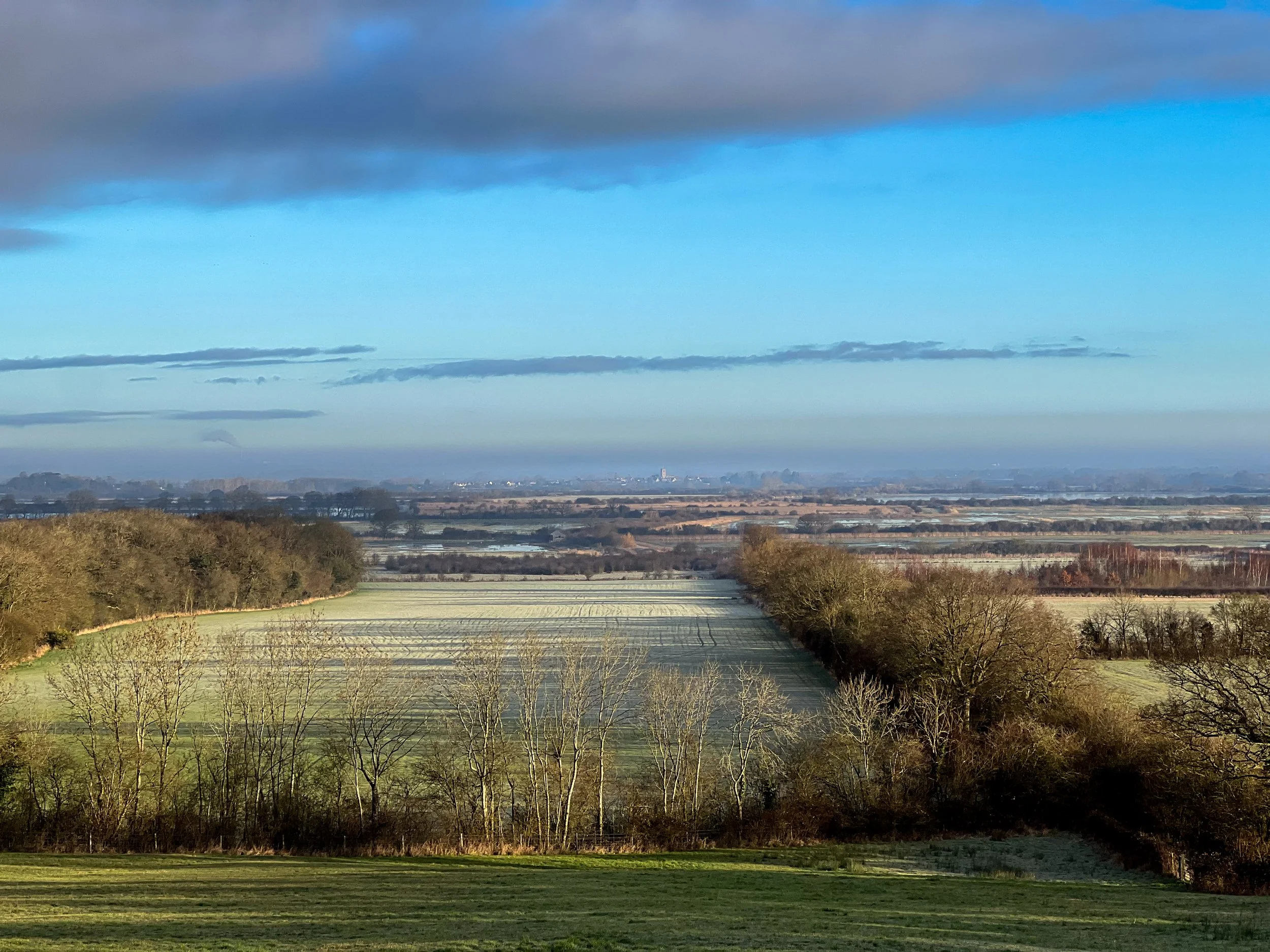 GM-view of Otmoor .jpeg