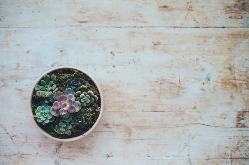 Photo by Annie Spratt on Unsplash.