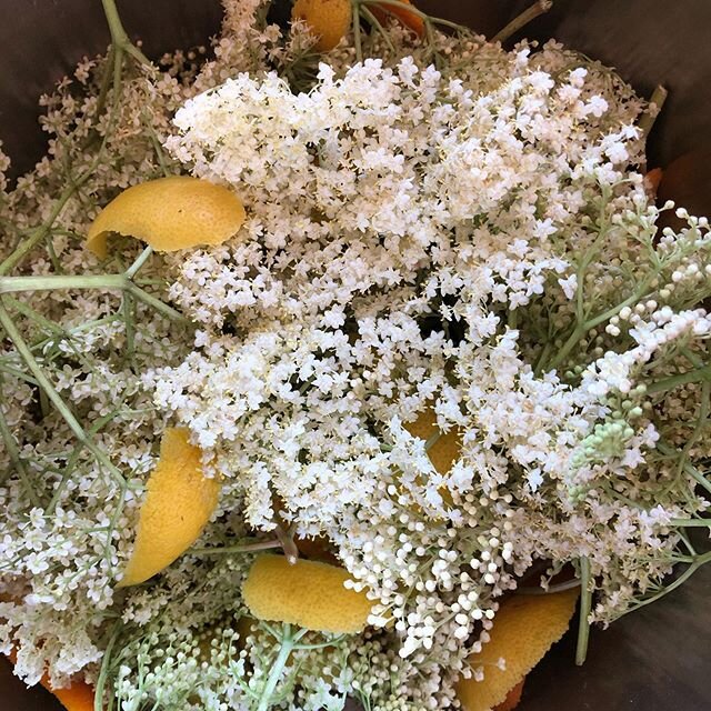 Another benefit of more time. Every year I&rsquo;m going to make elderflower cordial and finally this year I am! #elderflower #elderflowercordial #homemade