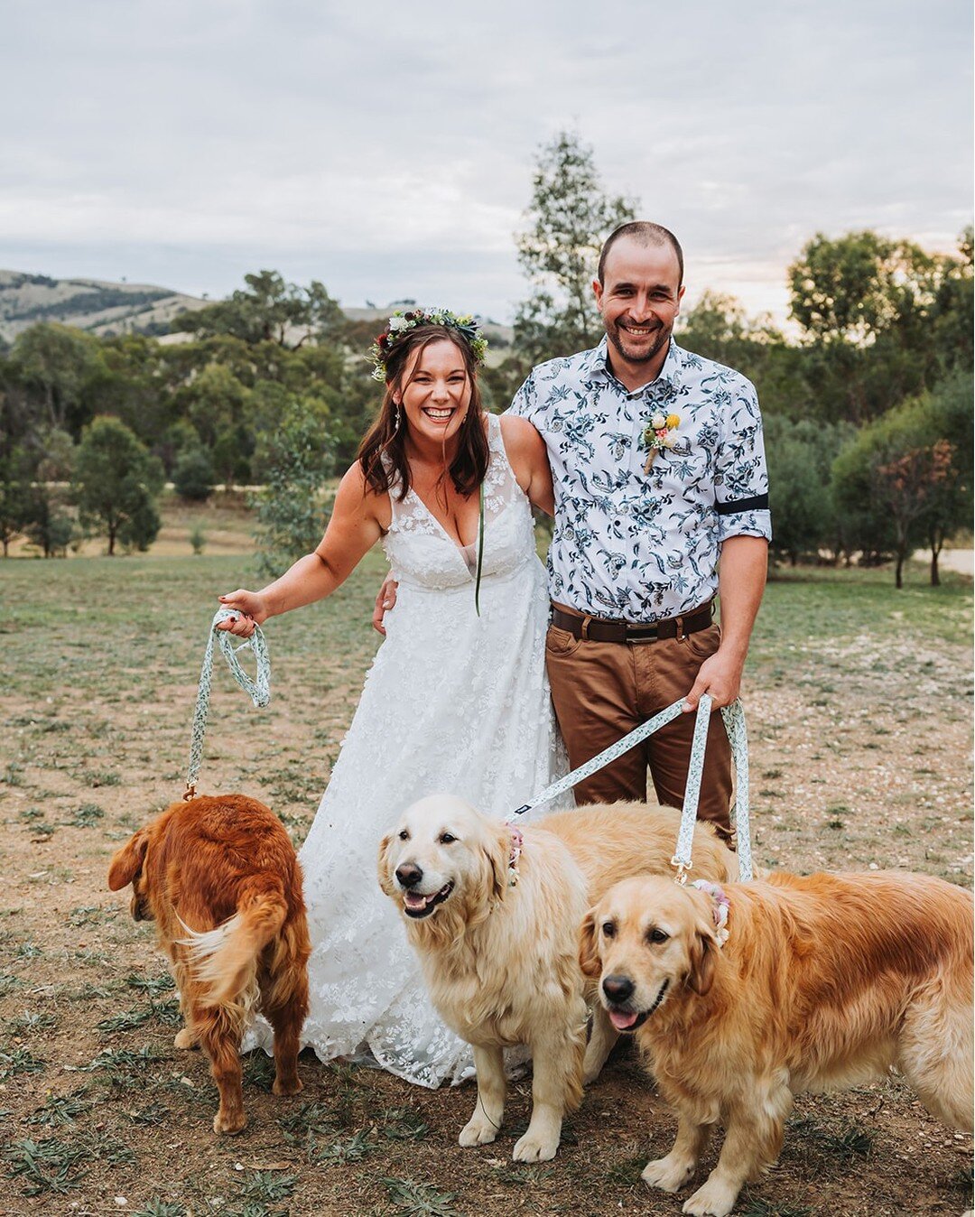 Yes to getting married in your backyard, with your dogs and your best people - and make sure Taylor Swift is there (your llama, of course!)

Elope Bendigo @celebrantsuebegg Jess White Photography

#elopebendigo #celebrantsuebegg #bendigoweddingphotog