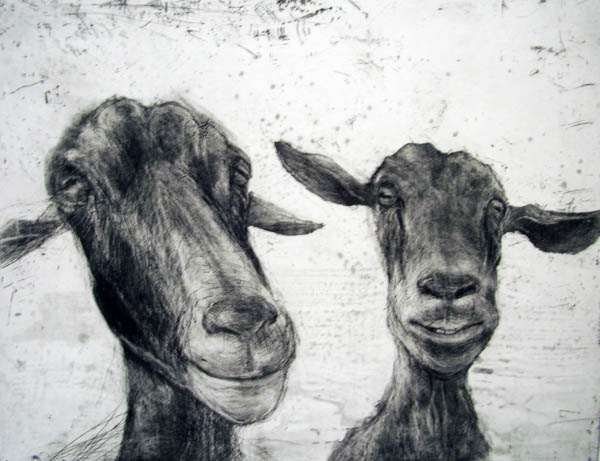Two Goats, Etching