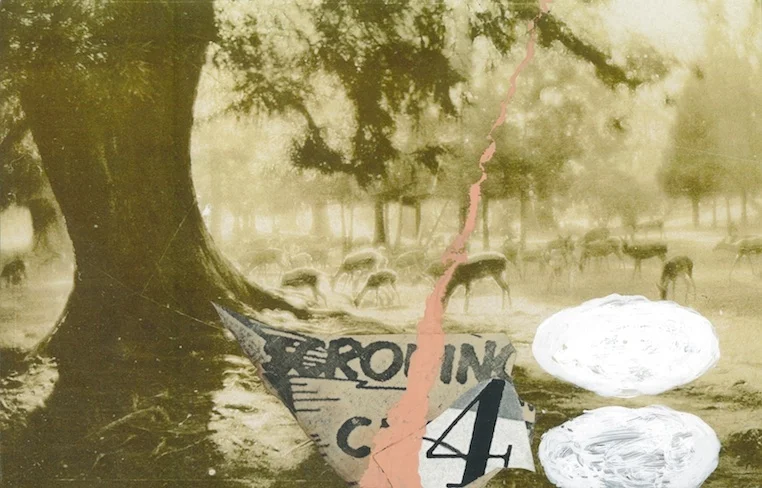 Nara #3 10 x 15in. Montage, Collage, Acrylic, Whiteout