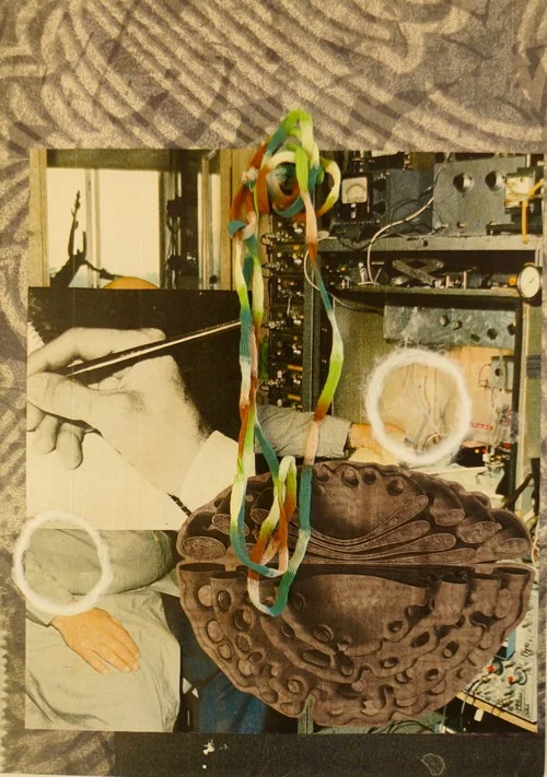 Firefly 18 x 11in. Dimensional Collage