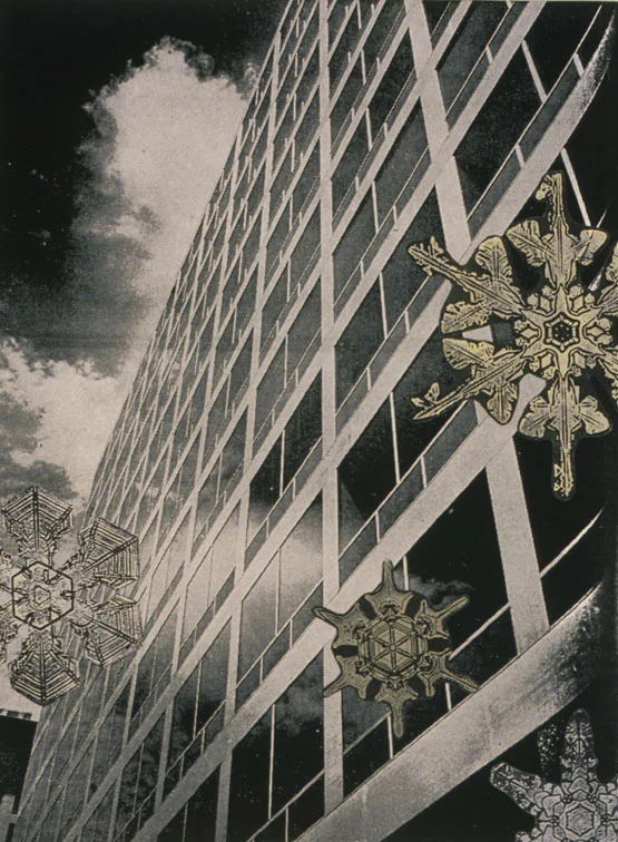 30 x 18in. Montage, Collage 2002