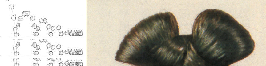 imagemix219.jpg