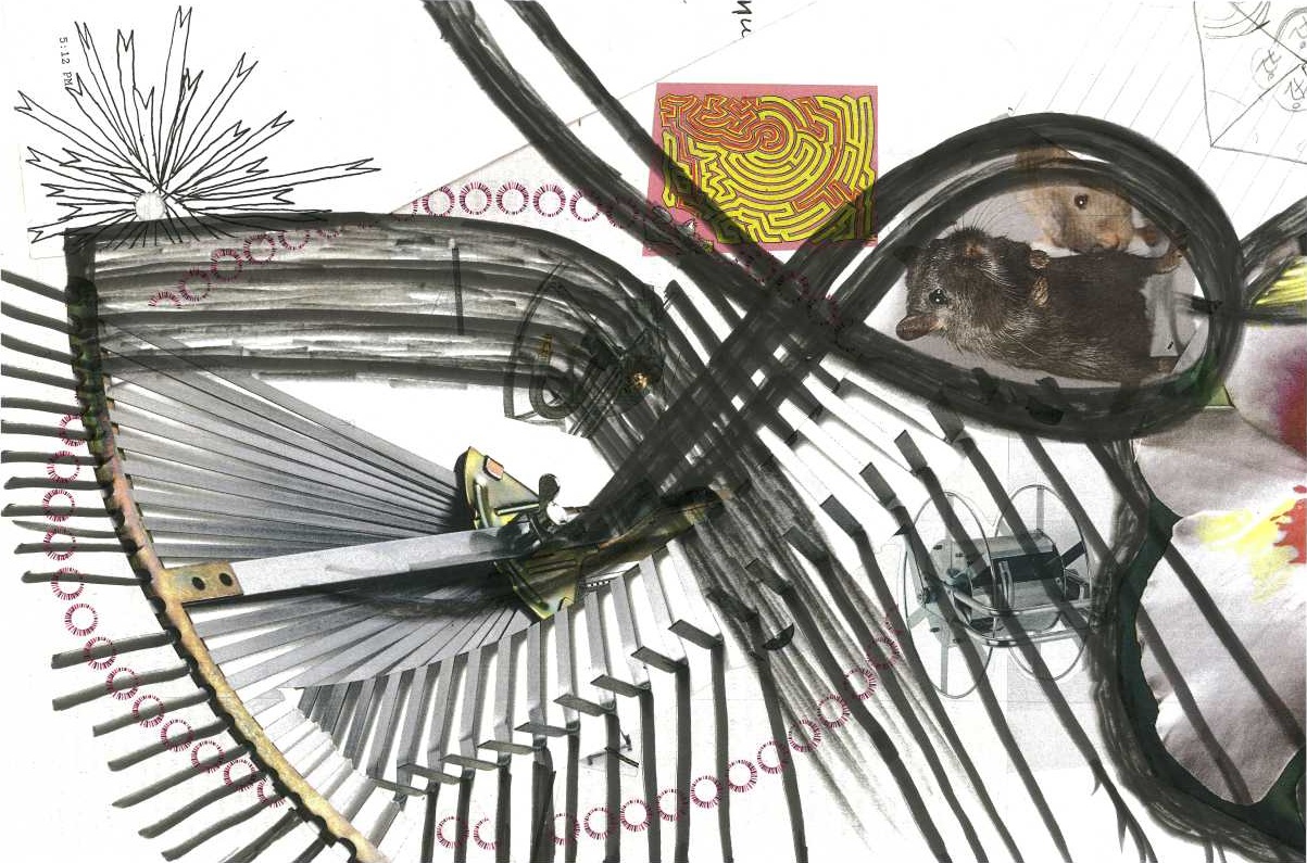 Conscription 11 X 17 inches collage, ink, archival paper