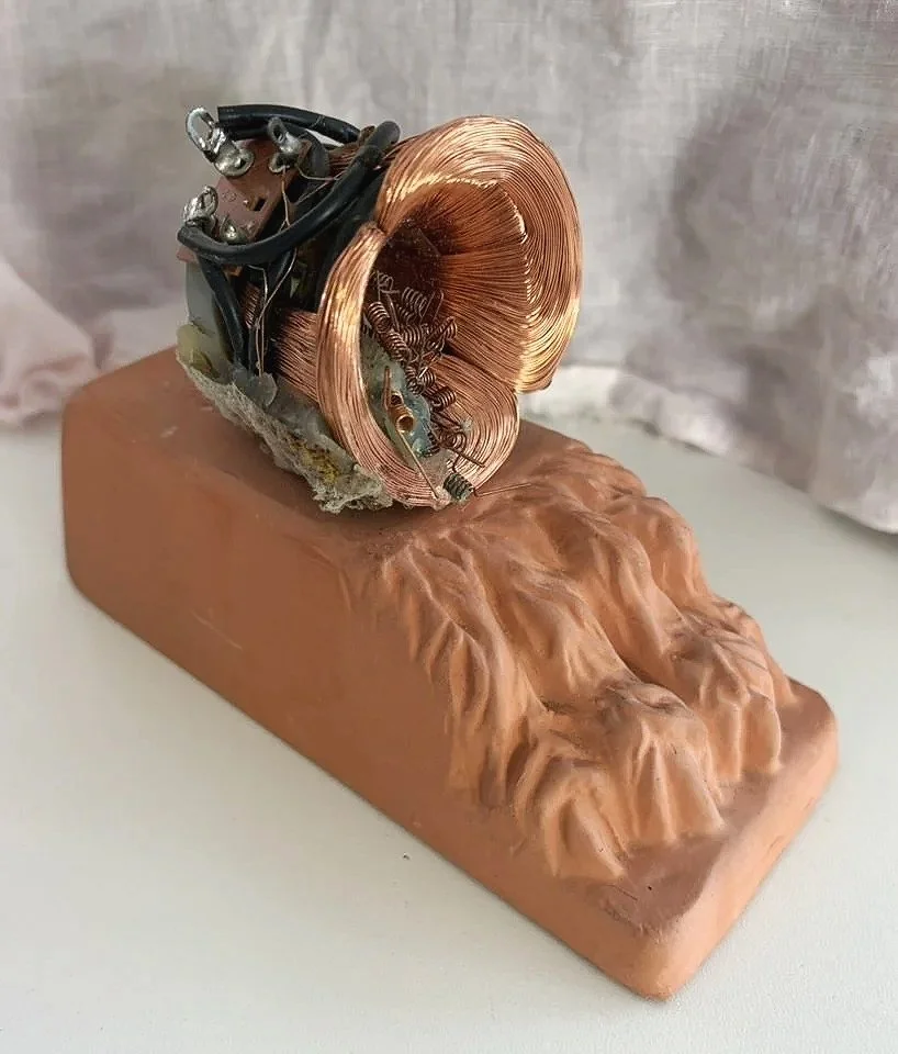 costan.claw.2026.jpg