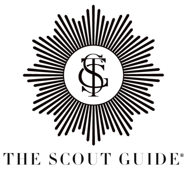 The image features a dark background with a central emblem that appears to be a stylized badge or crest, surrounded by radiating lines. Below the emblem, the text reads "The Scout Guide."