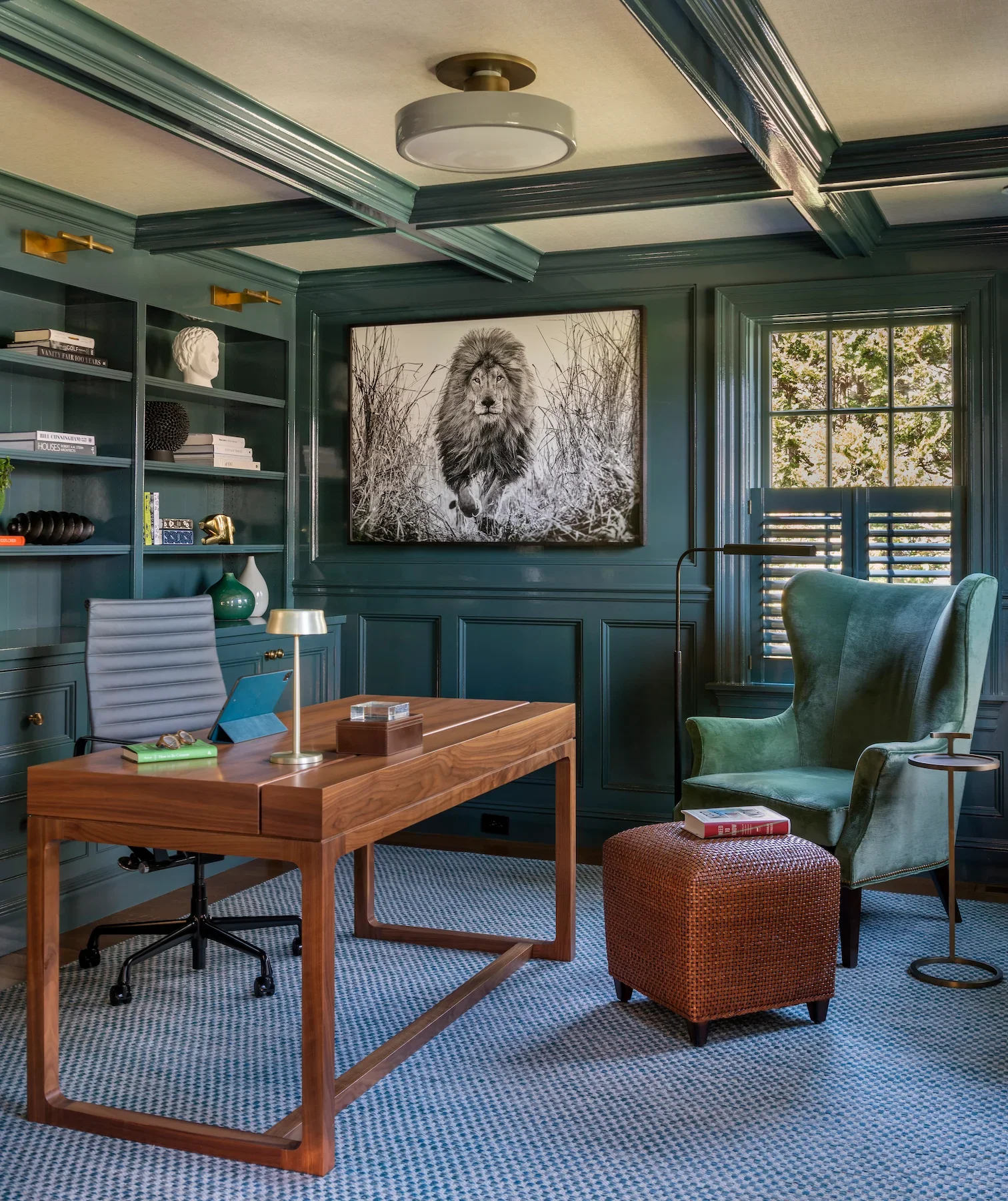 David Yarrow lion photograph installed in a Wellesley Family Home by Powell Fine Art Advisory.