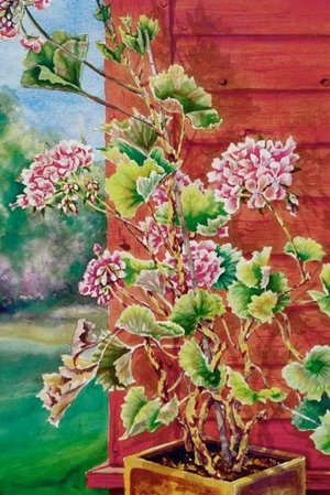 Geraniums' Corner, watercolor, 16 x 24