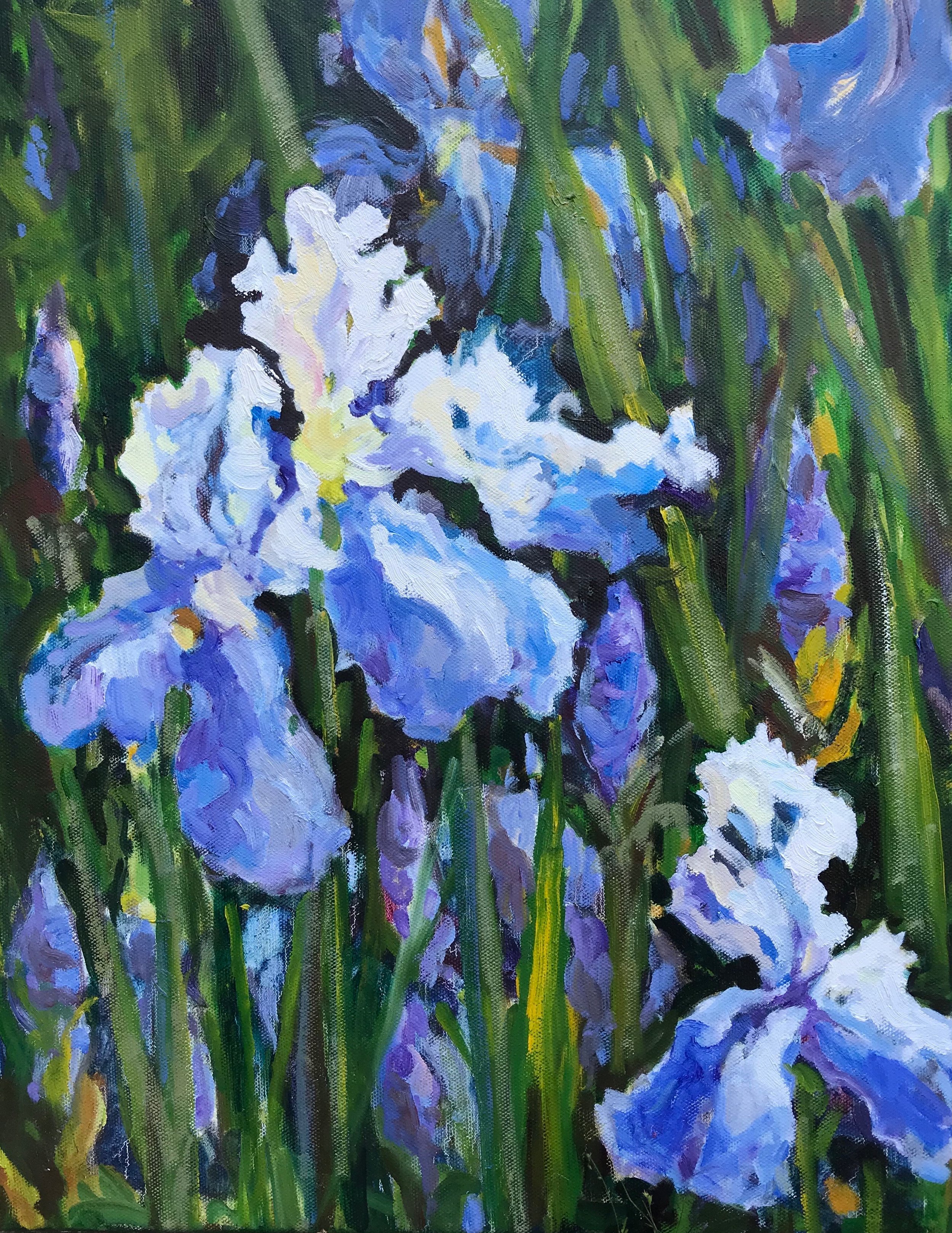 Blue Iris, oils, 14 x 18