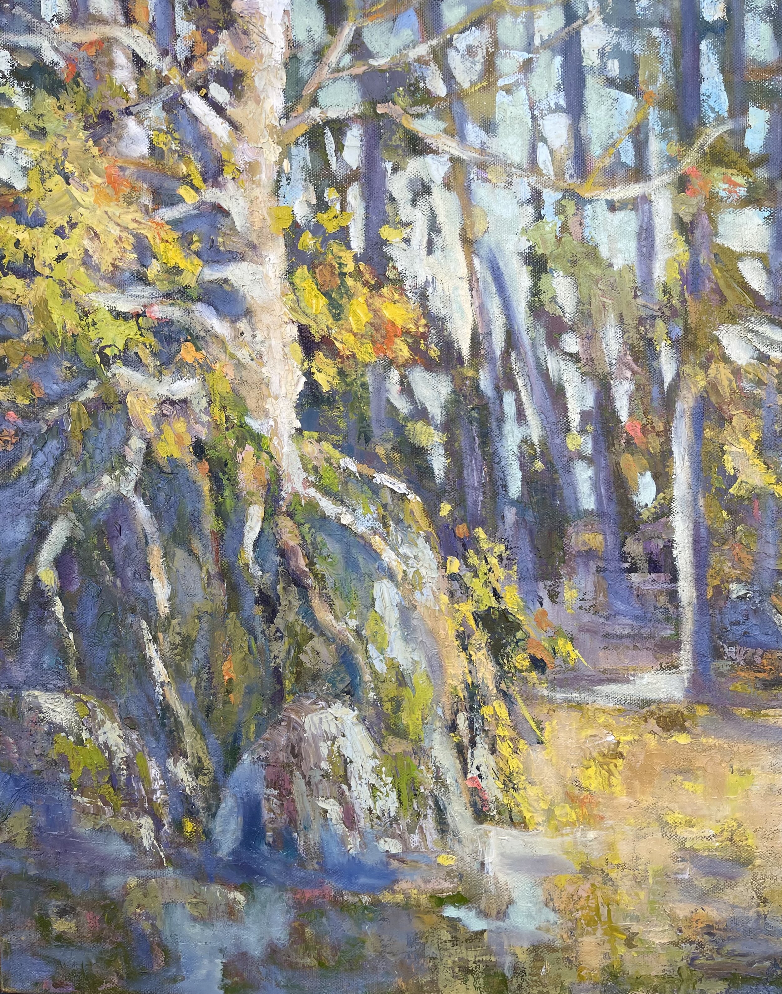 Forest's Last Light, oils,  16x20