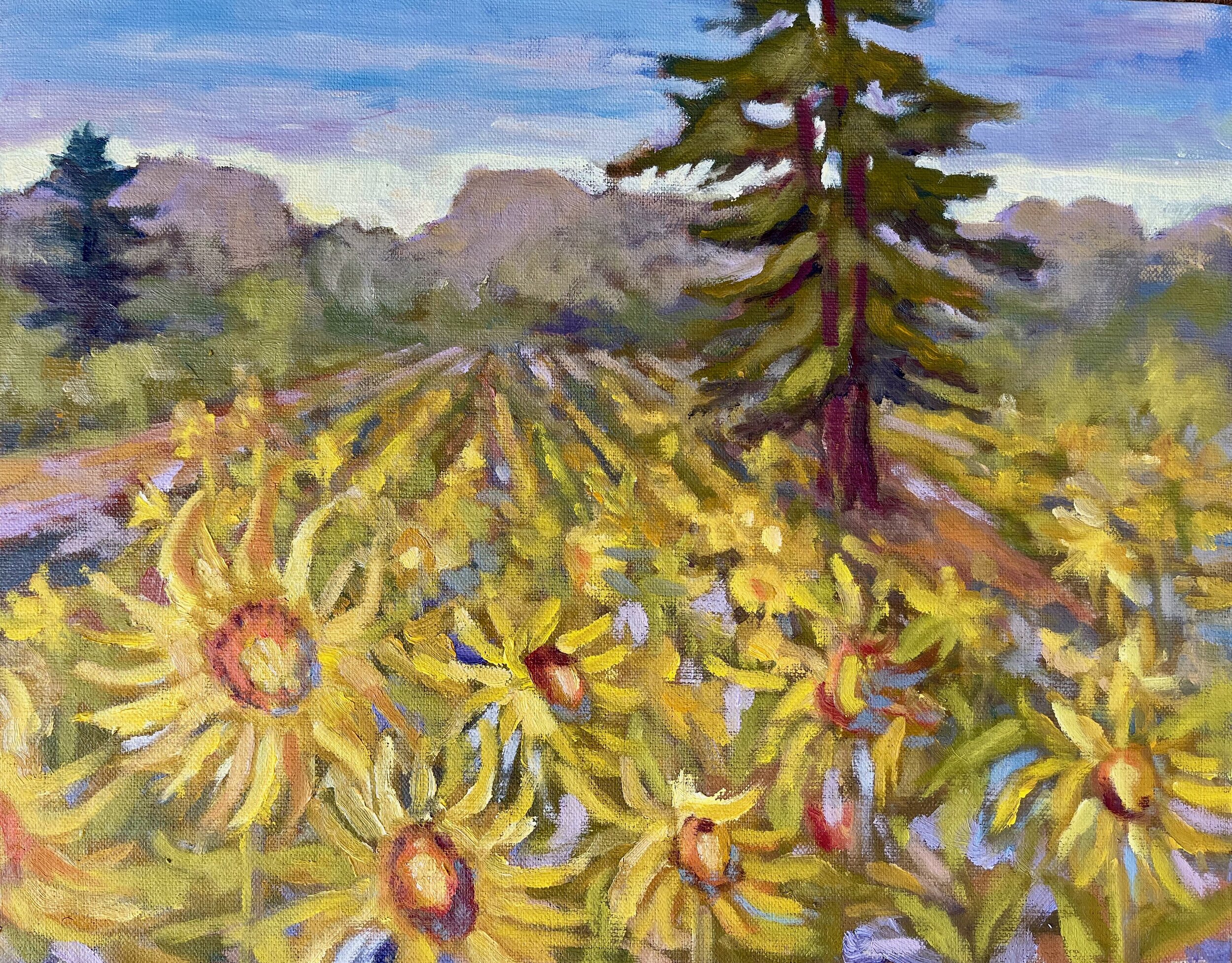 Sunflowers on Parade, oils, 11x14