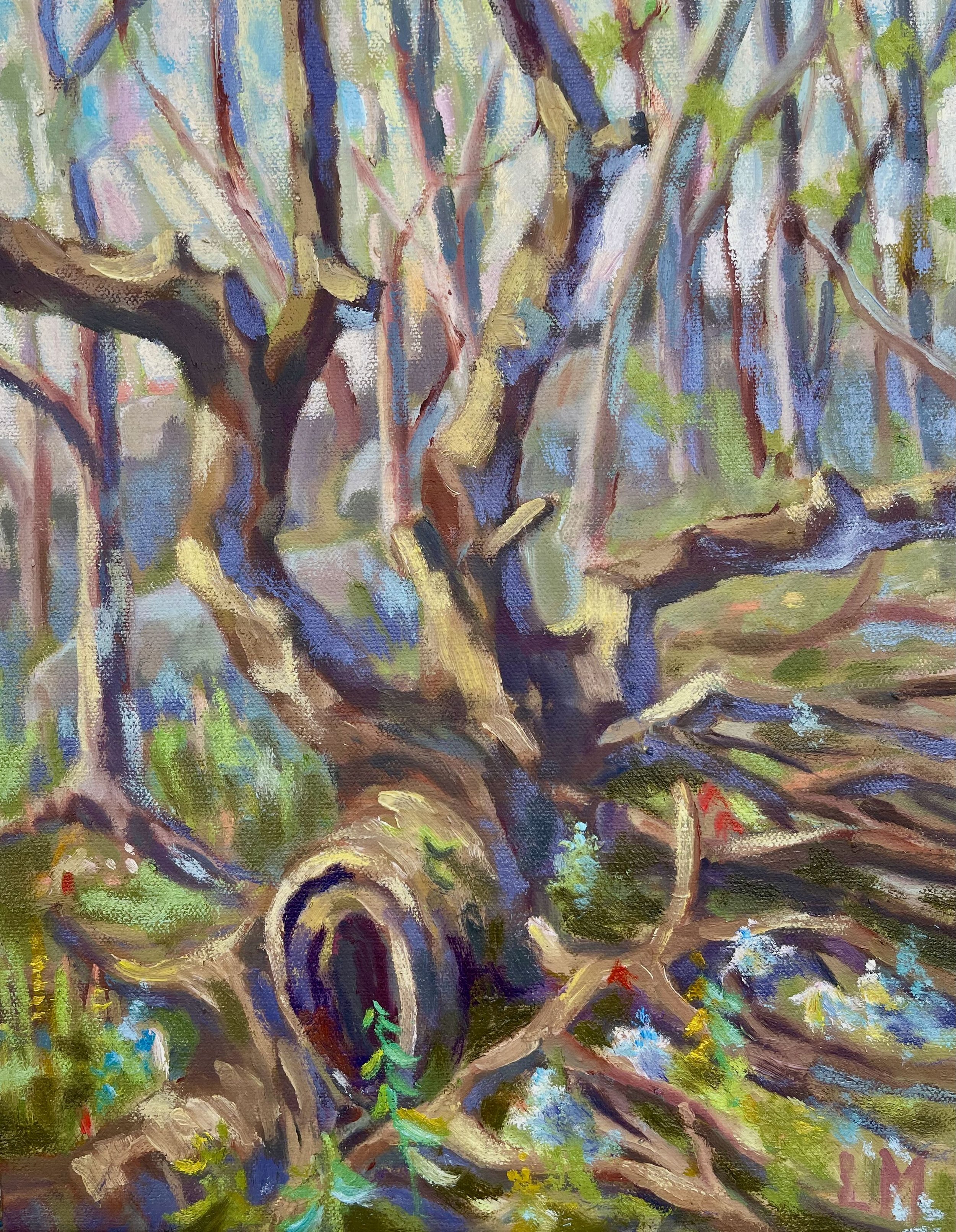 The Mother Tree, oils, 11x14