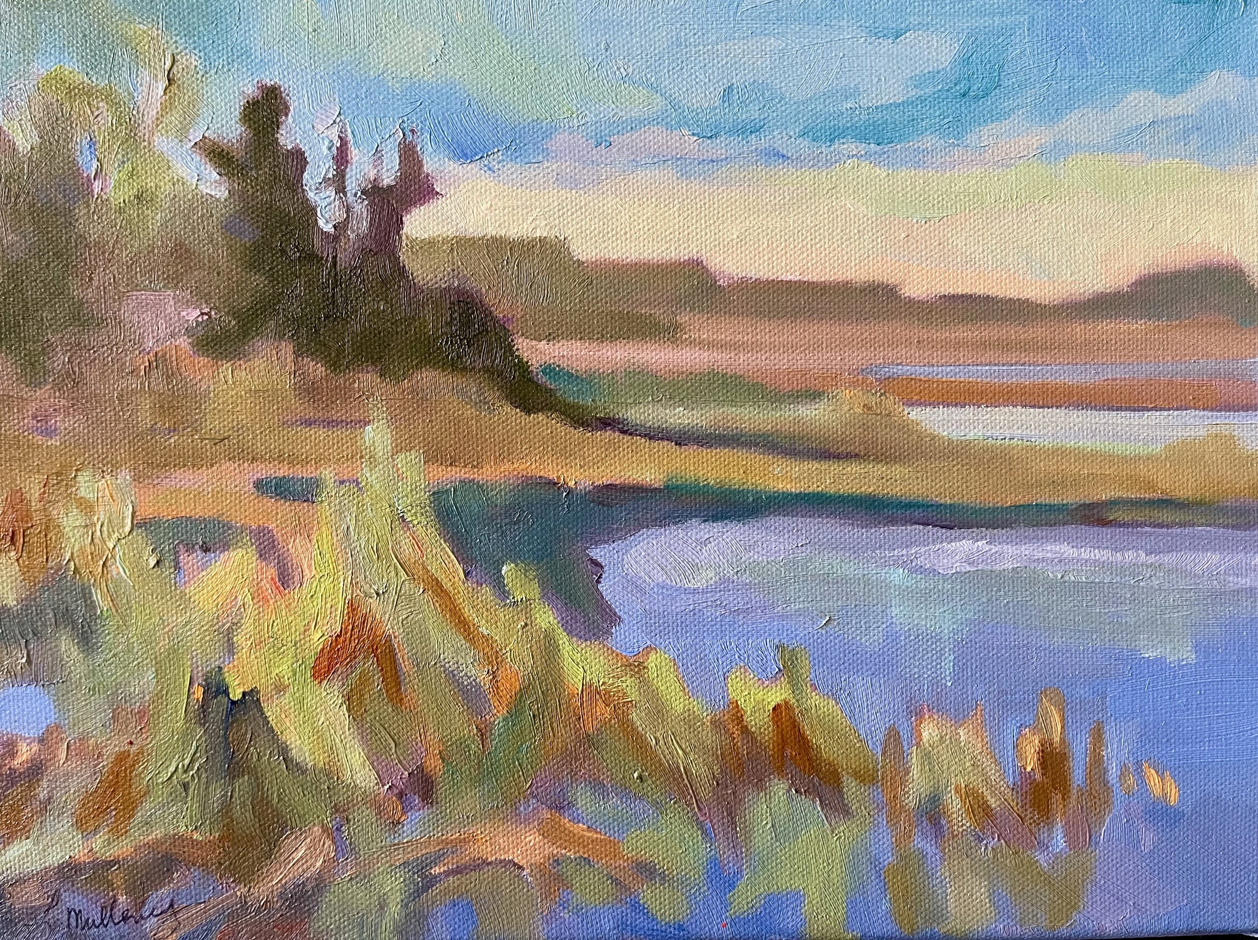 Spring Wetlands, 9x12